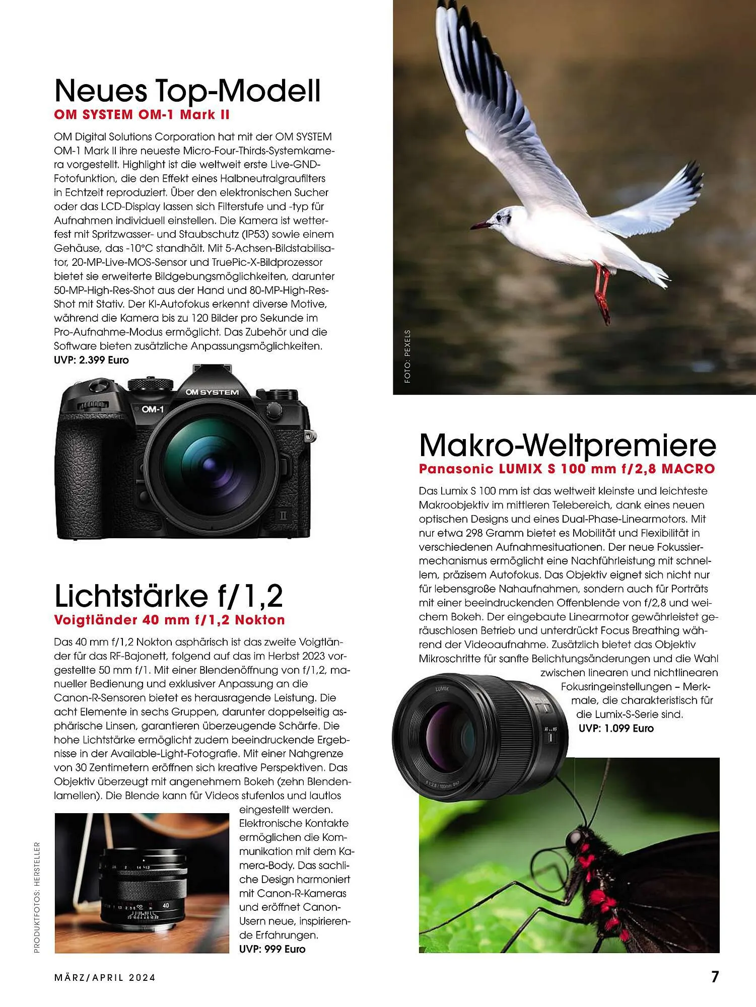 RINGFOTO Flugblatt von 1. März bis 30. April 2024 - Flugblätt seite 7