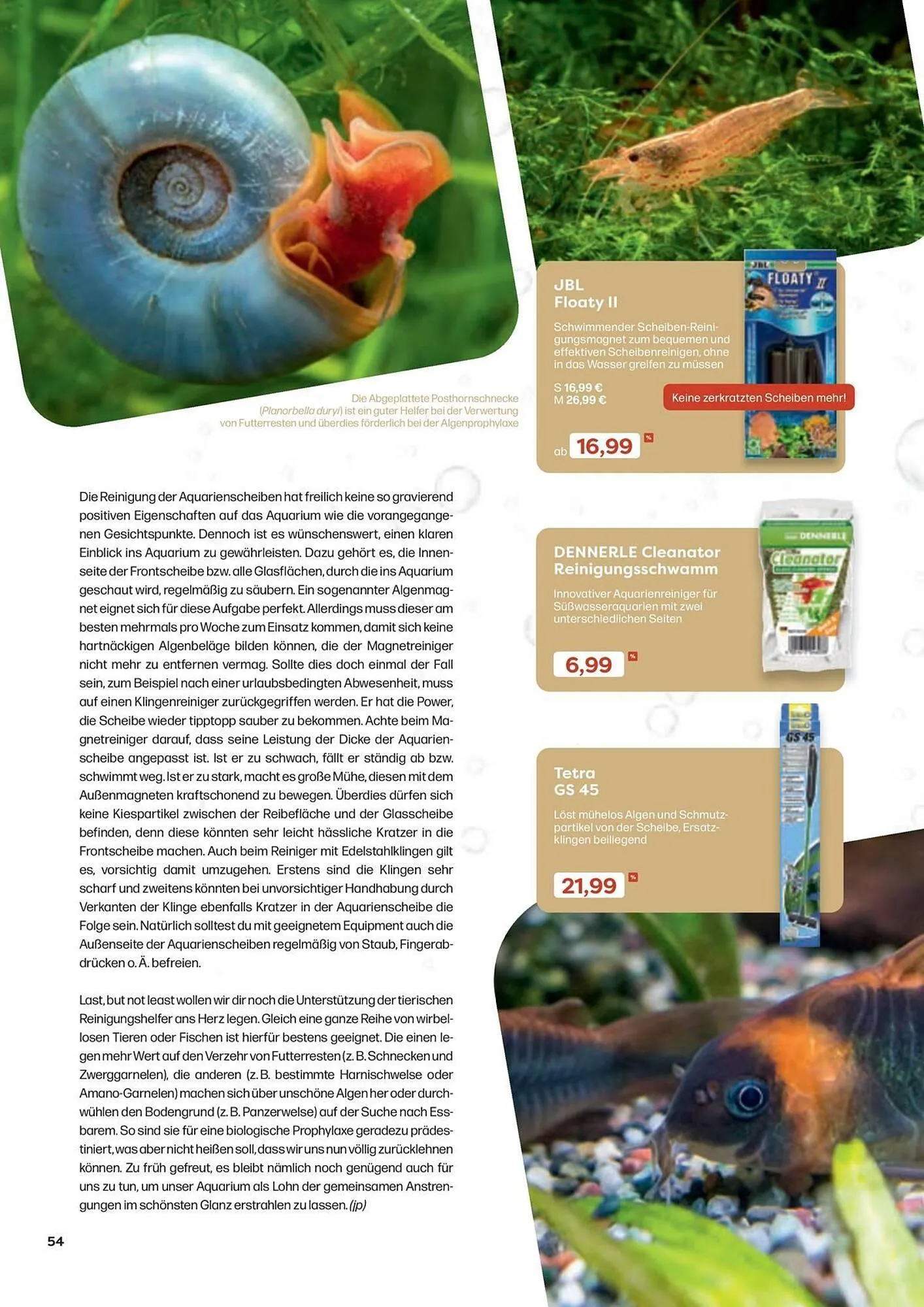 ZOO & Co Flugblatt von 30. August bis 8. November 2024 - Flugblätt seite  54