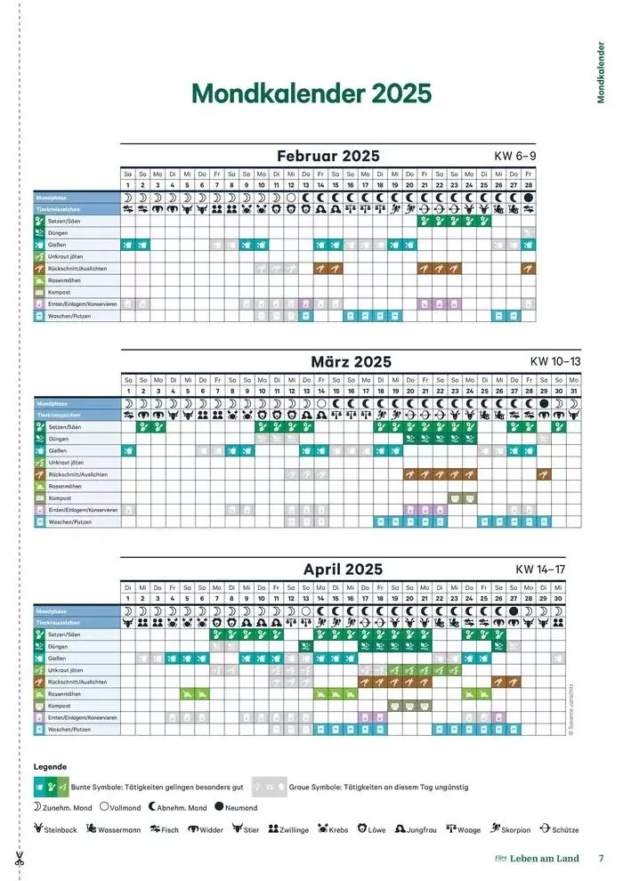 Nr. 1 - Lagerhaus Magazin 2025 von 28. Jänner bis 11. Februar 2025 - Flugblätt seite  7