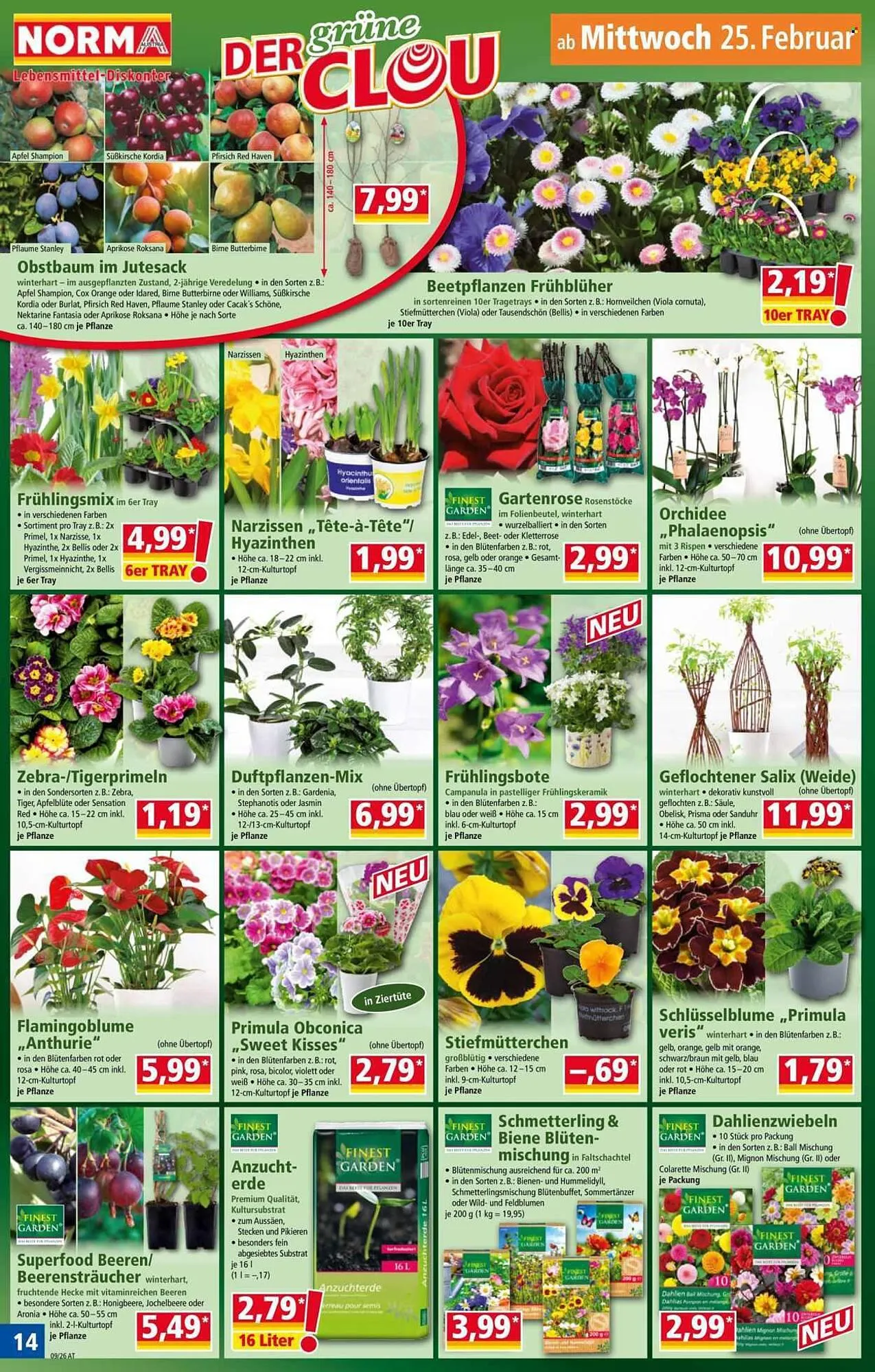 Norma Prospekt von 23. Februar bis 28. Februar 2026 - Flugblätt seite  14