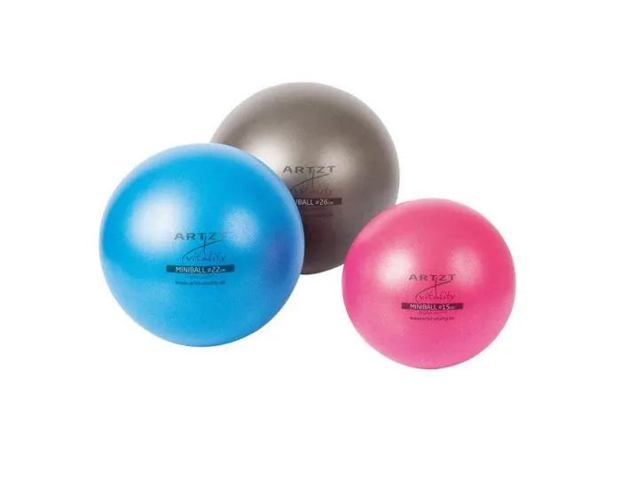 ARTZT vitality Miniball