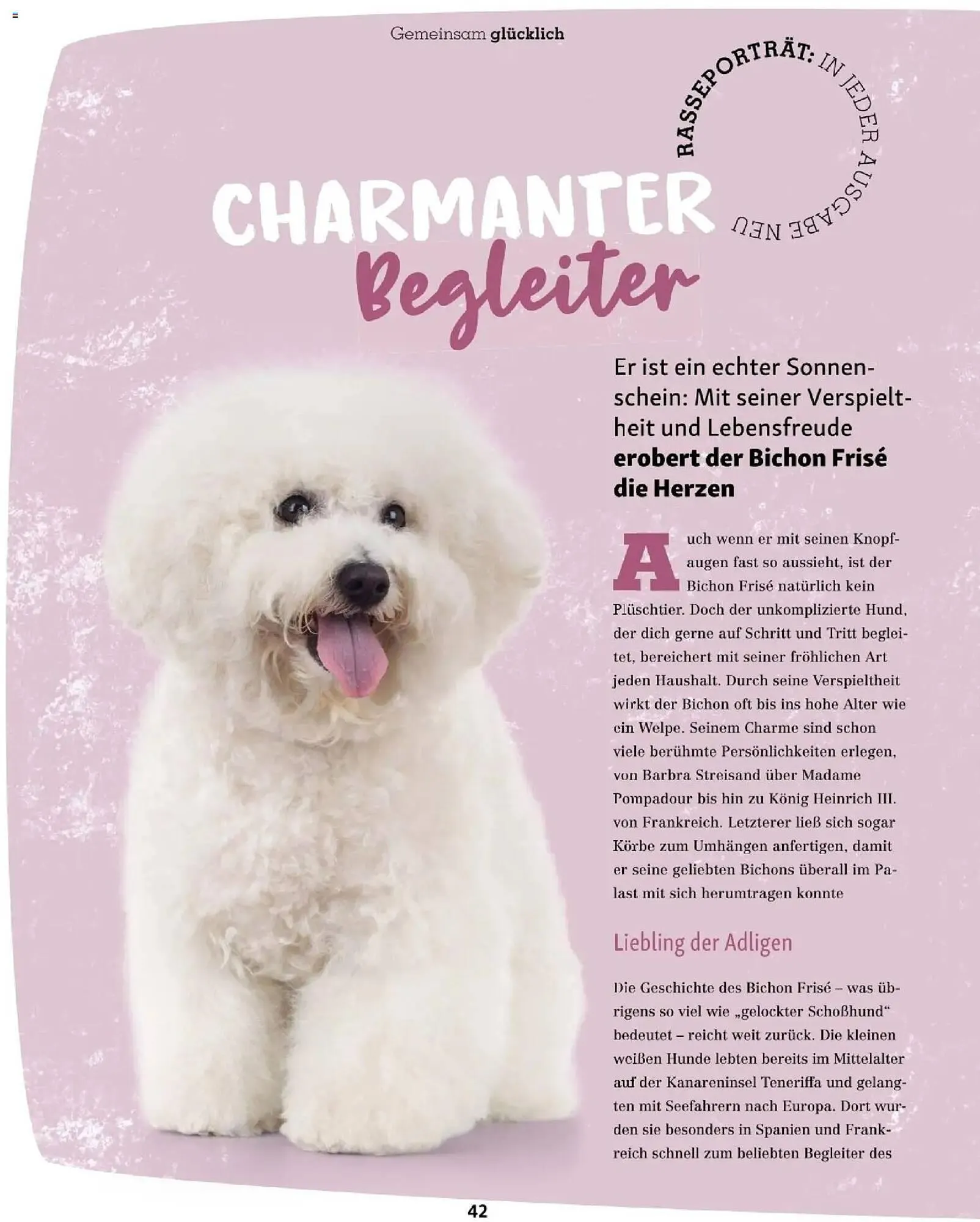 Fressnapf Flugblatt von 1. Jänner bis 28. Februar 2026 - Flugblätt seite 42