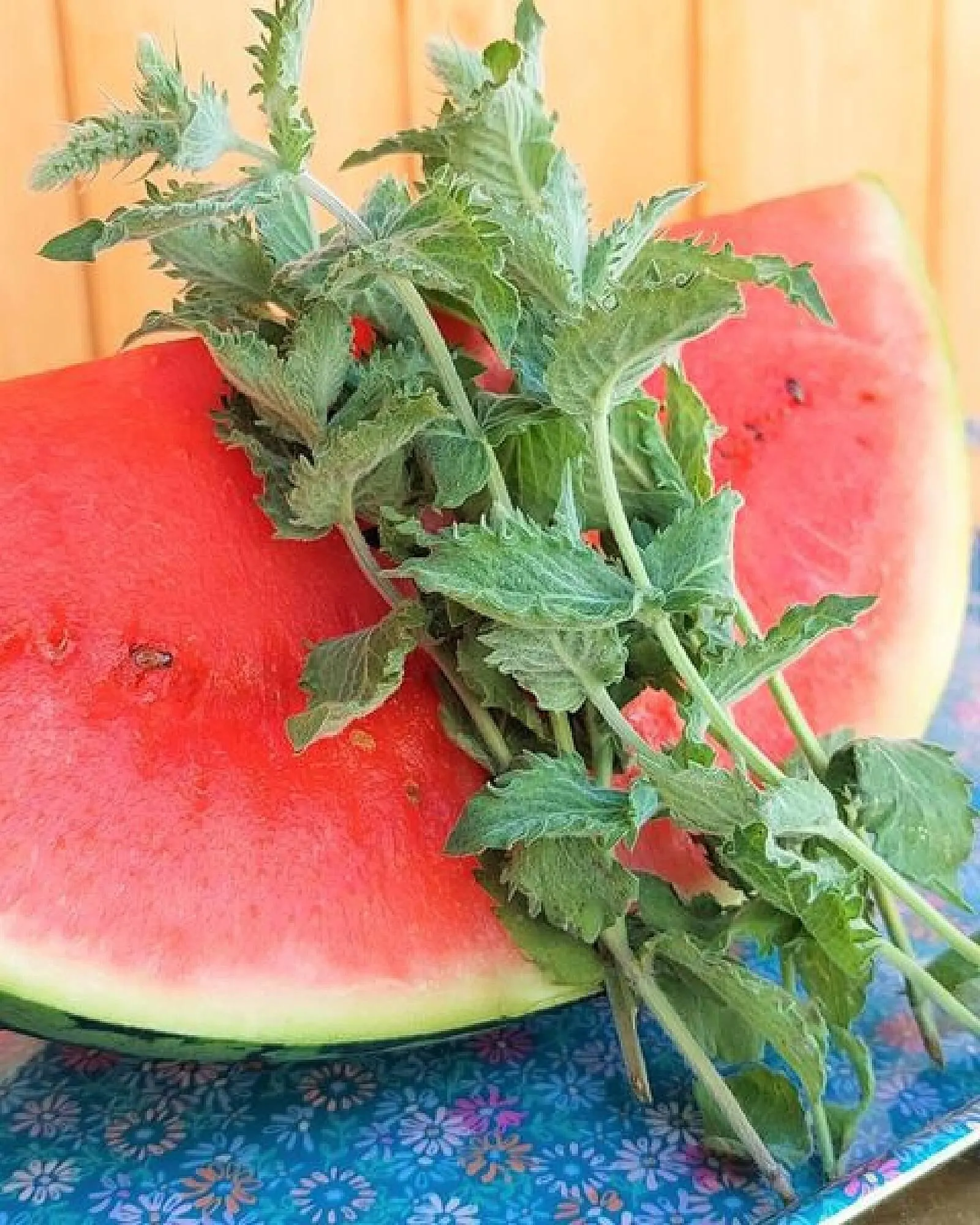 Bellaflora Flugblatt von 24. Juli bis 6. August 2024 - Flugblätt seite  6