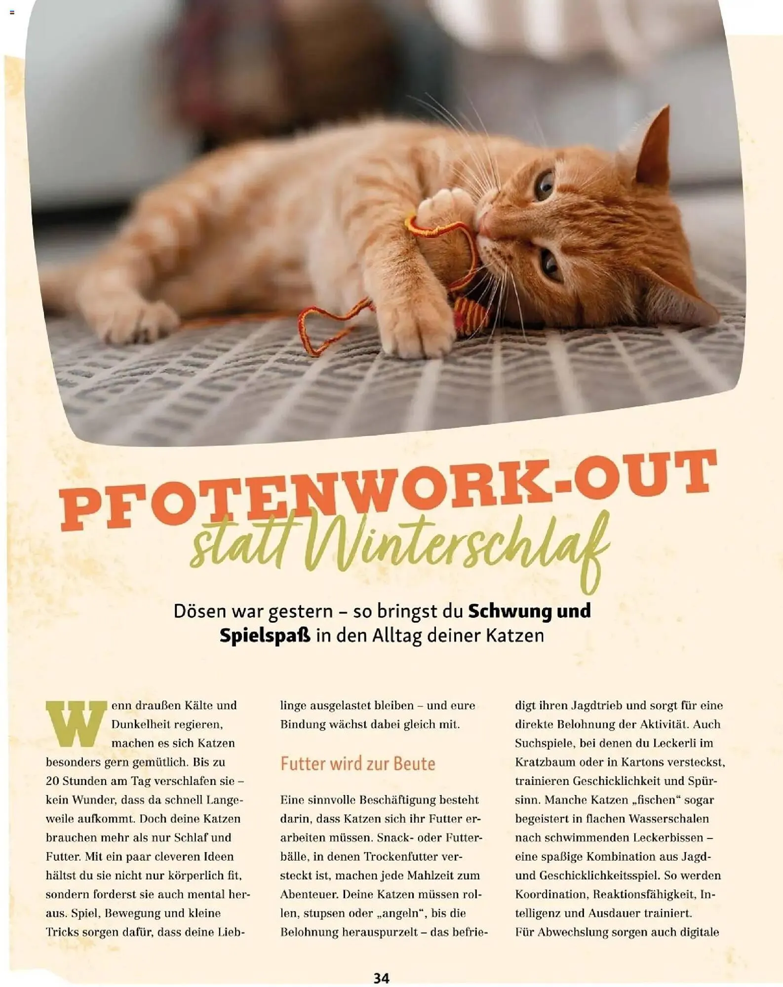 Fressnapf Flugblatt von 1. Jänner bis 28. Februar 2026 - Flugblätt seite  34