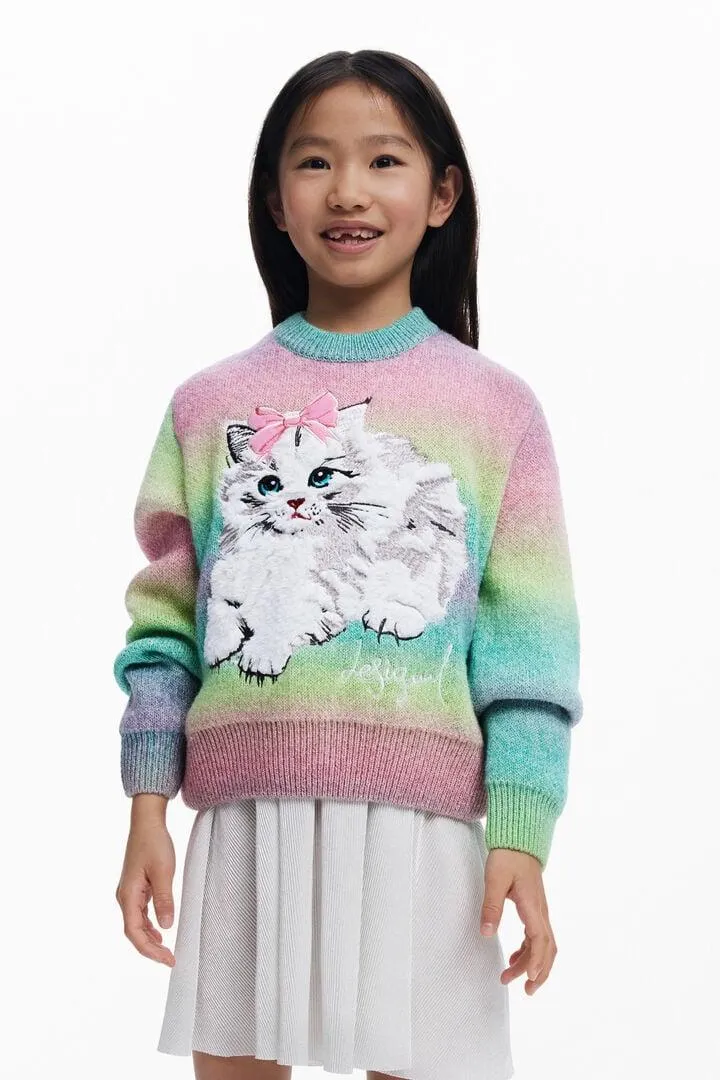 Regenbogen-Katzen-Pullover