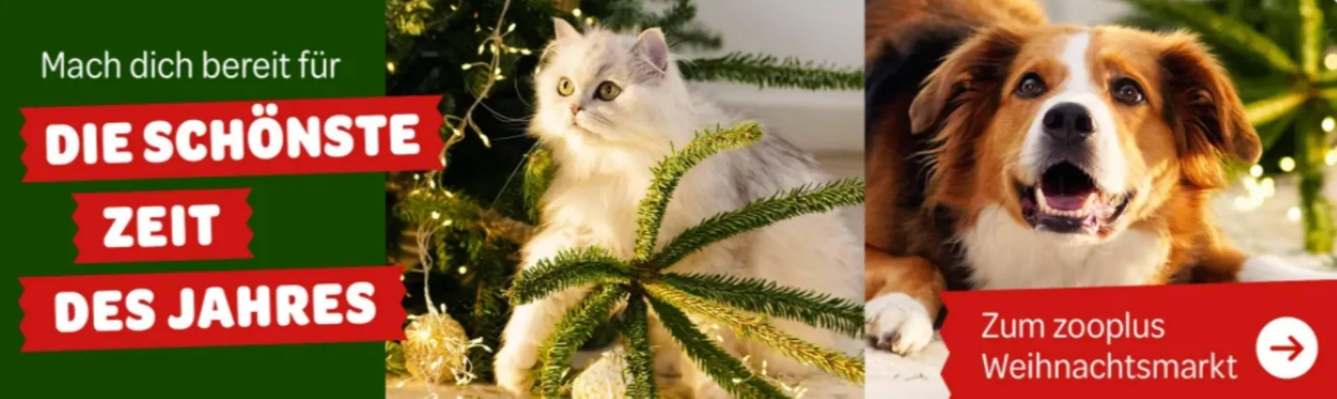 Zooplus Flugblatt - 1