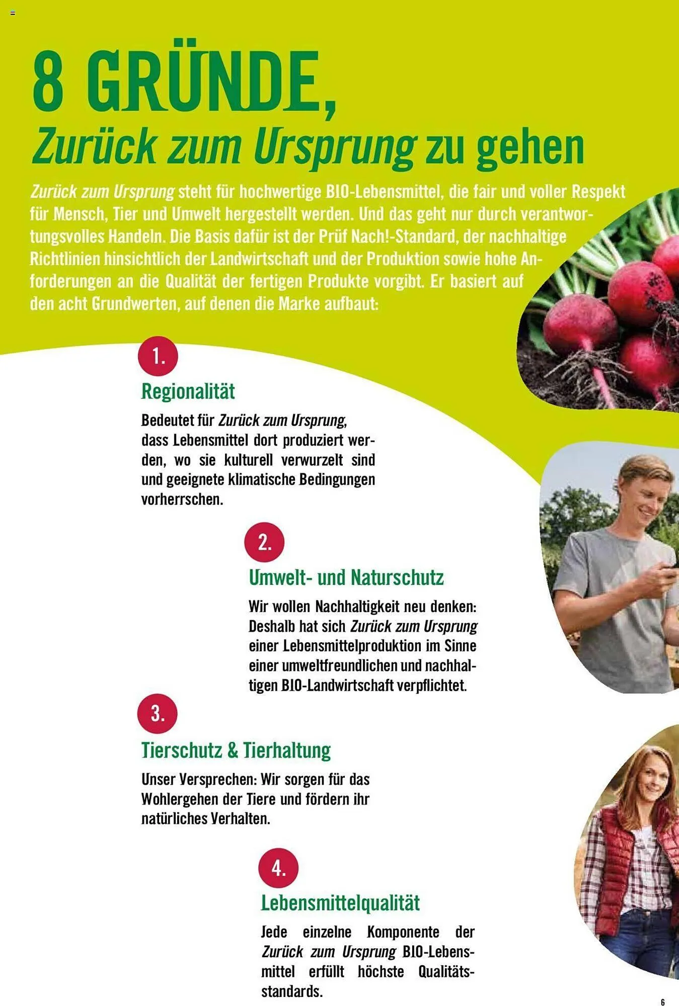 Hofer Flugblatt von 8. Oktober bis 4. März 2026 - Flugblätt seite  6