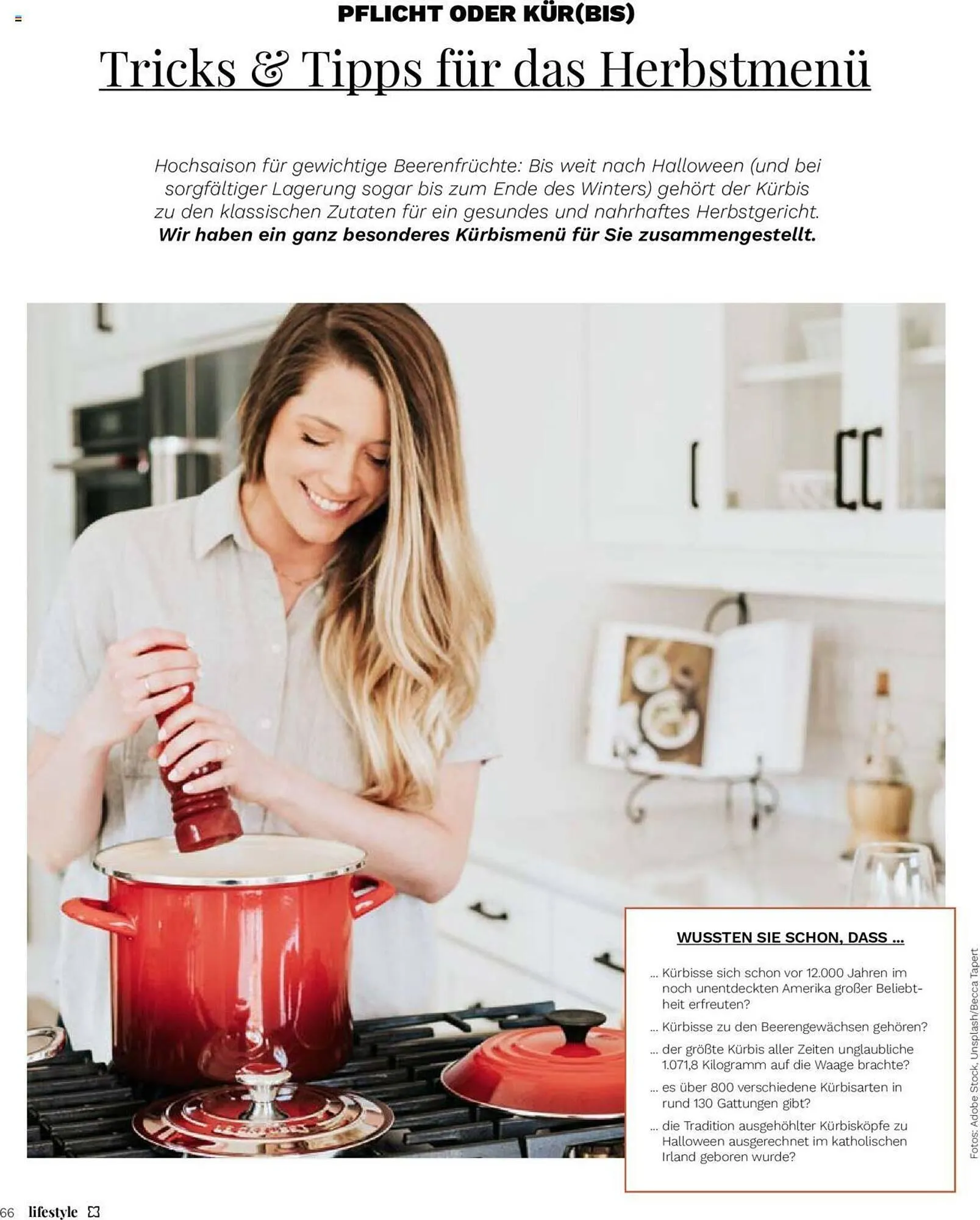 Müller Flugblatt von 1. September bis 31. Oktober 2023 - Flugblätt seite  66