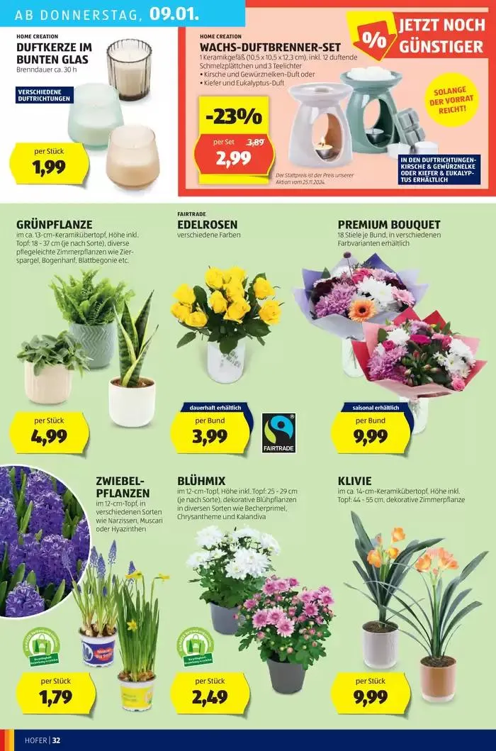 Blättern Sie online im HOFER Flugblatt von 31. Dezember bis 7. Jänner 2025 - Flugblätt seite 36