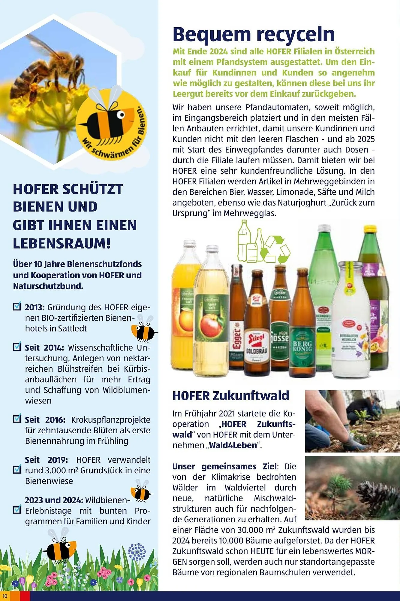 Hofer Flugblatt von 2. Oktober bis 4. März 2026 - Flugblätt seite  10