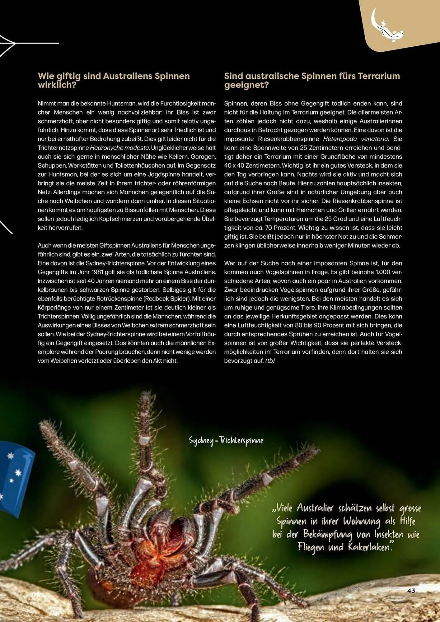 ZOO & Co Flugblatt von 30. August bis 8. November 2024 - Flugblätt seite  43