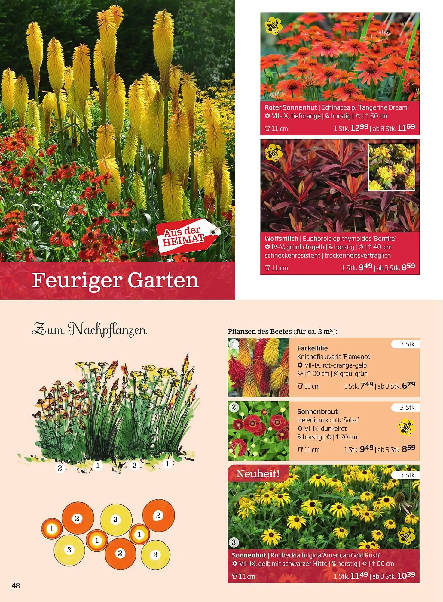 Starkl Flugblatt von 6. Juni bis 31. Dezember 2025 - Flugblätt seite 48