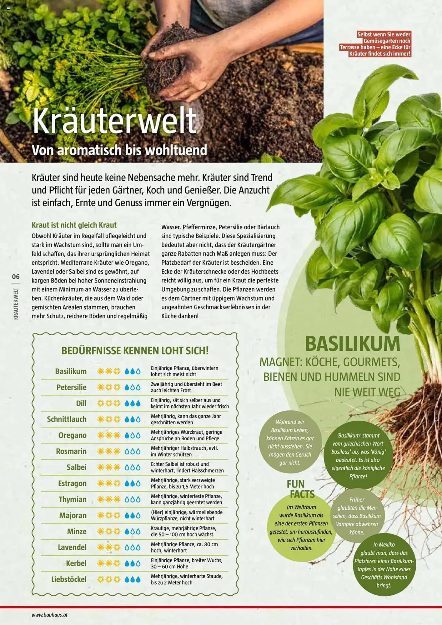 Bauhaus Flugblatt von 1. Juli bis 6. März 2026 - Flugblätt seite 6
