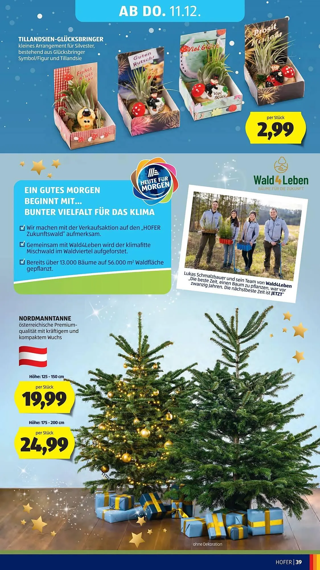 Hofer Flugblatt von 5. Dezember bis 12. Dezember 2025 - Flugblätt seite  53