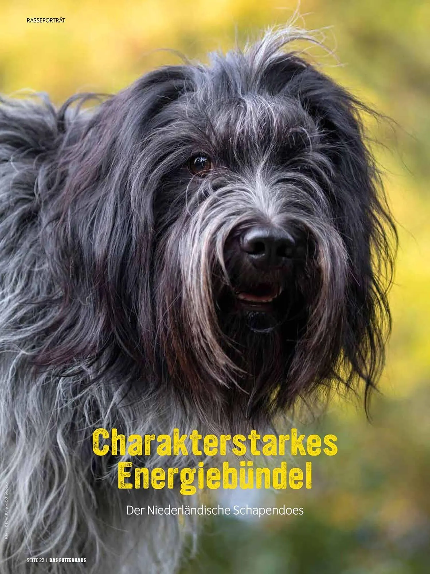 Das Futterhaus Flugblatt von 31. Mai bis 23. Juni 2024 - Flugblätt seite 22