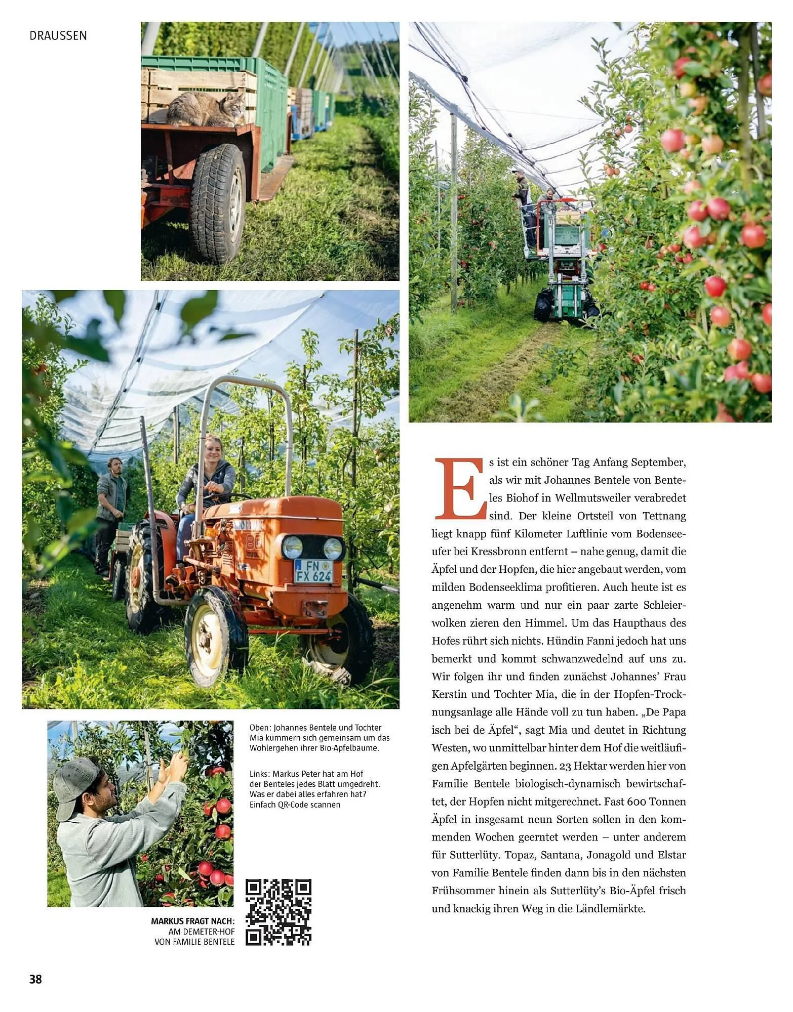 Sutterlüty Flugblatt von 17. November bis 29. Jänner 2026 - Flugblätt seite  103