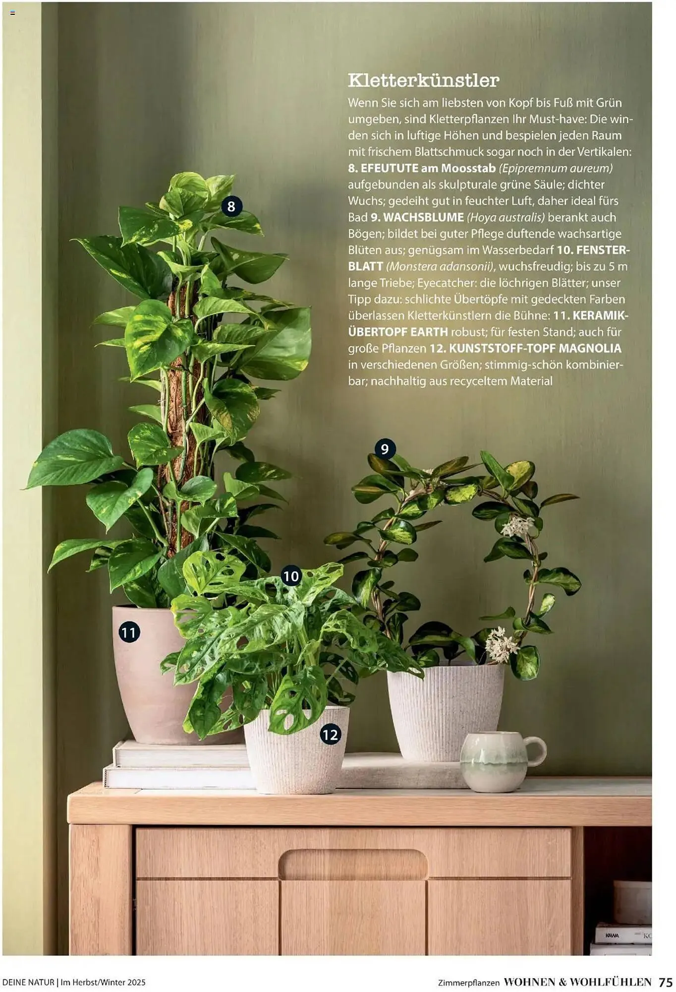 Dehner Flugblatt von 10. Oktober bis 30. November 2025 - Flugblätt seite 75