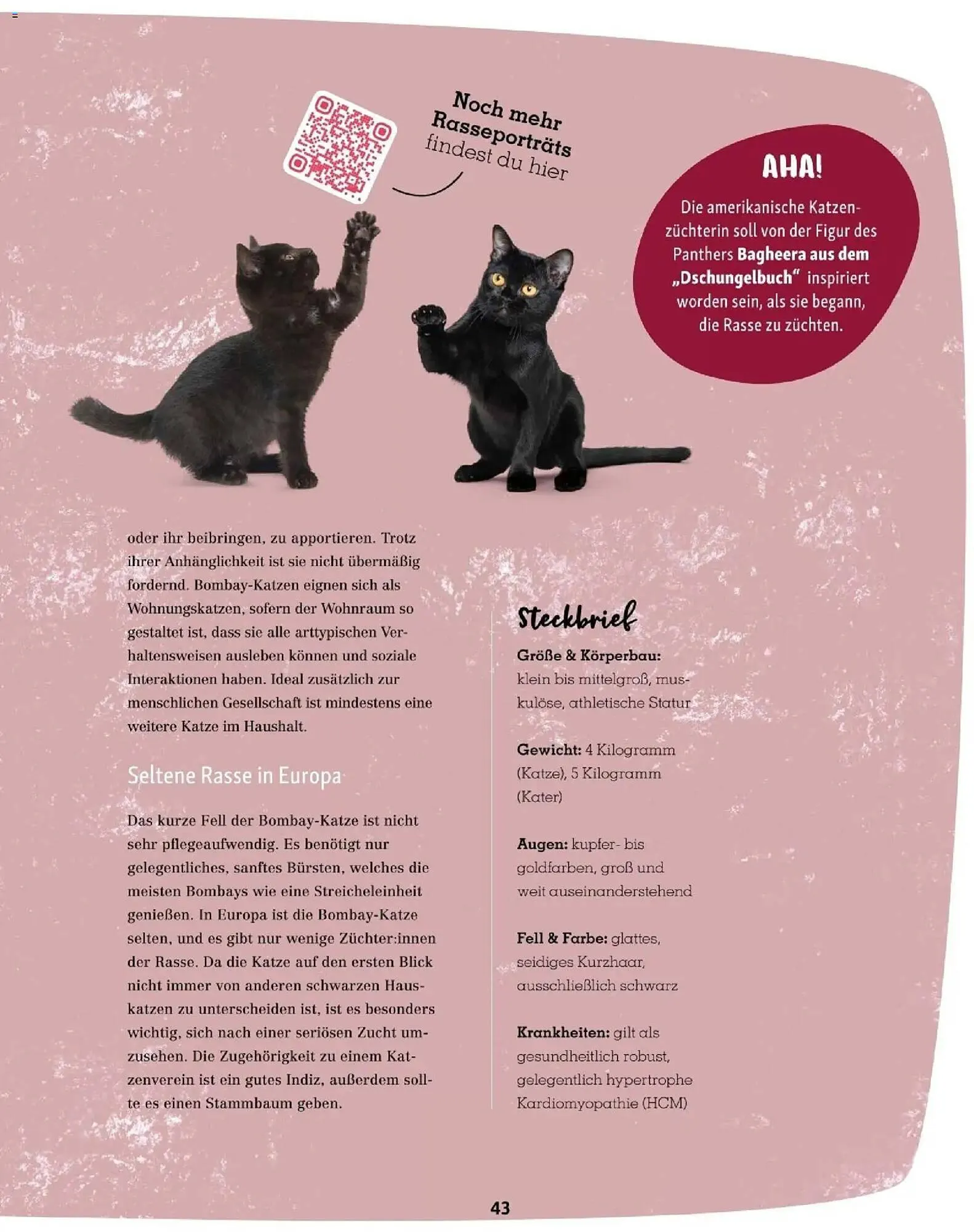 Fressnapf Flugblatt von 1. November bis 31. Dezember 2025 - Flugblätt seite  43