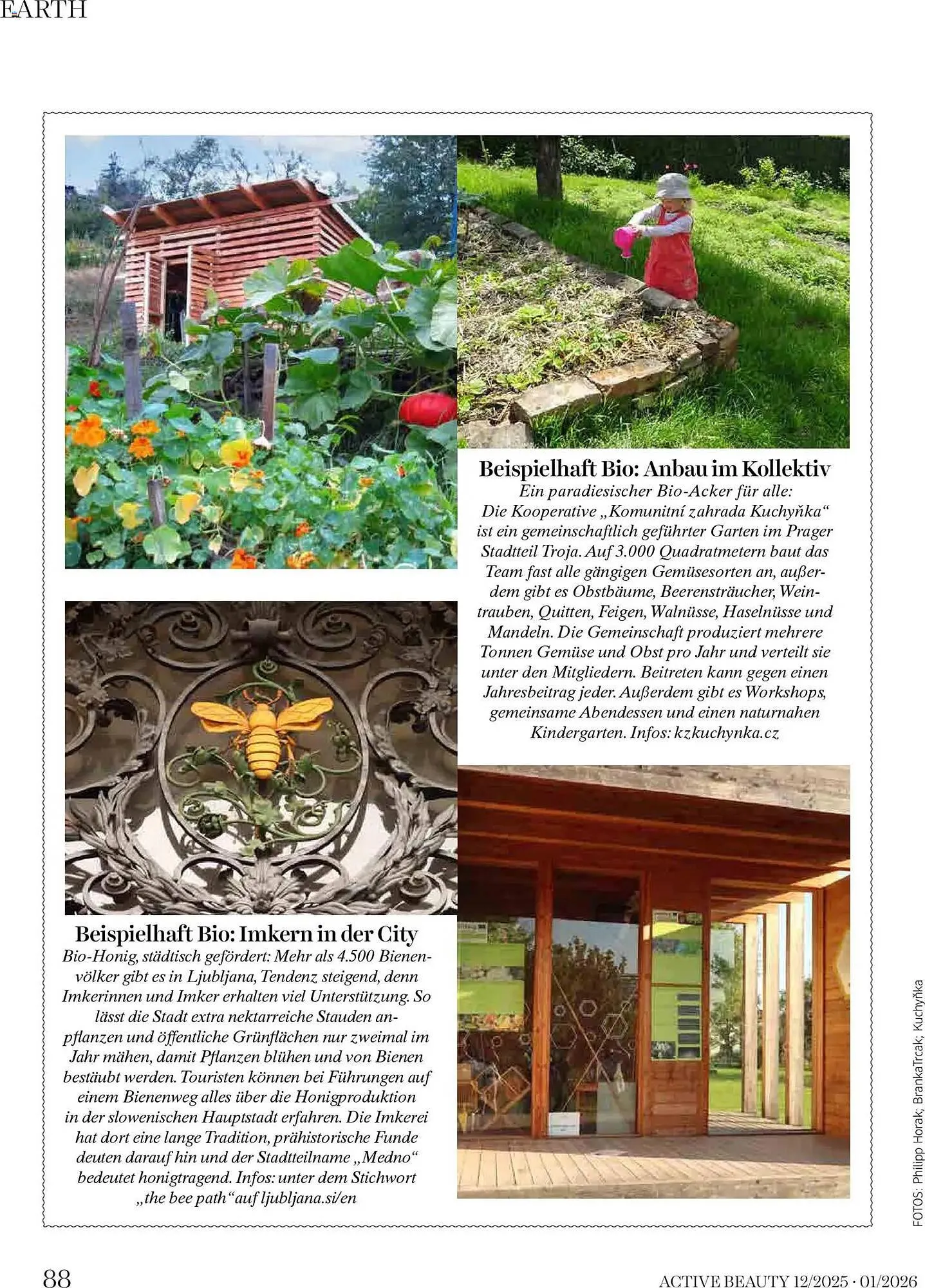 Dm Flugblatt von 1. Dezember bis 31. Jänner 2026 - Flugblätt seite  88