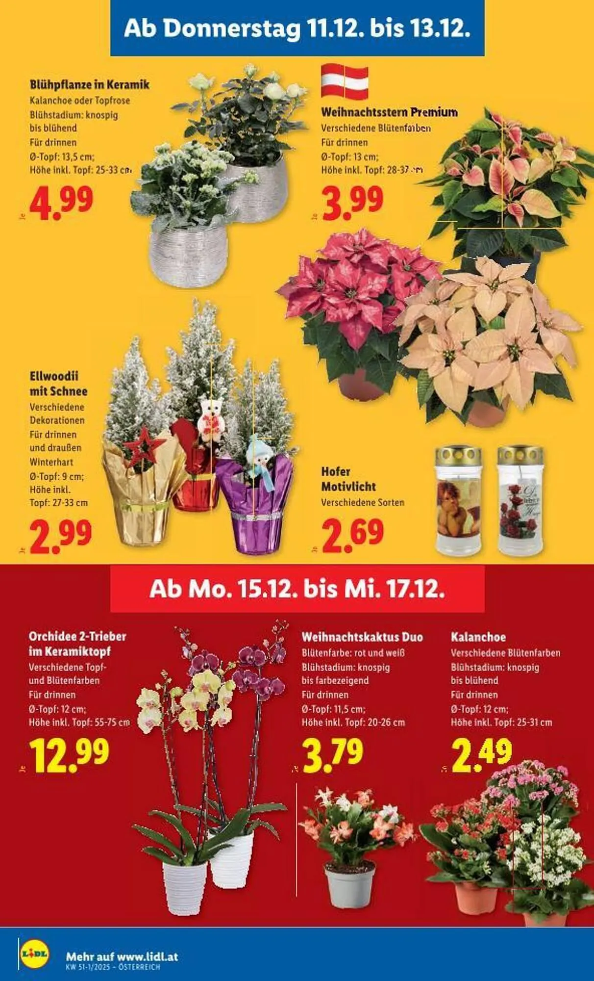 Lidl Flugblatt von 11. Dezember bis 17. Dezember 2025 - Flugblätt seite 31