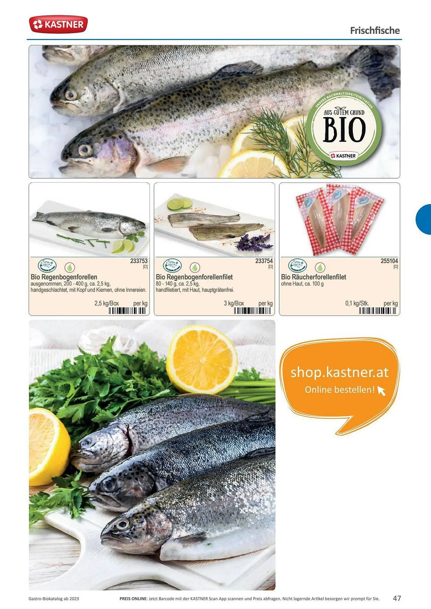 Kastner Flugblatt von 15. September bis 30. Dezember 2023 - Flugblätt seite  49