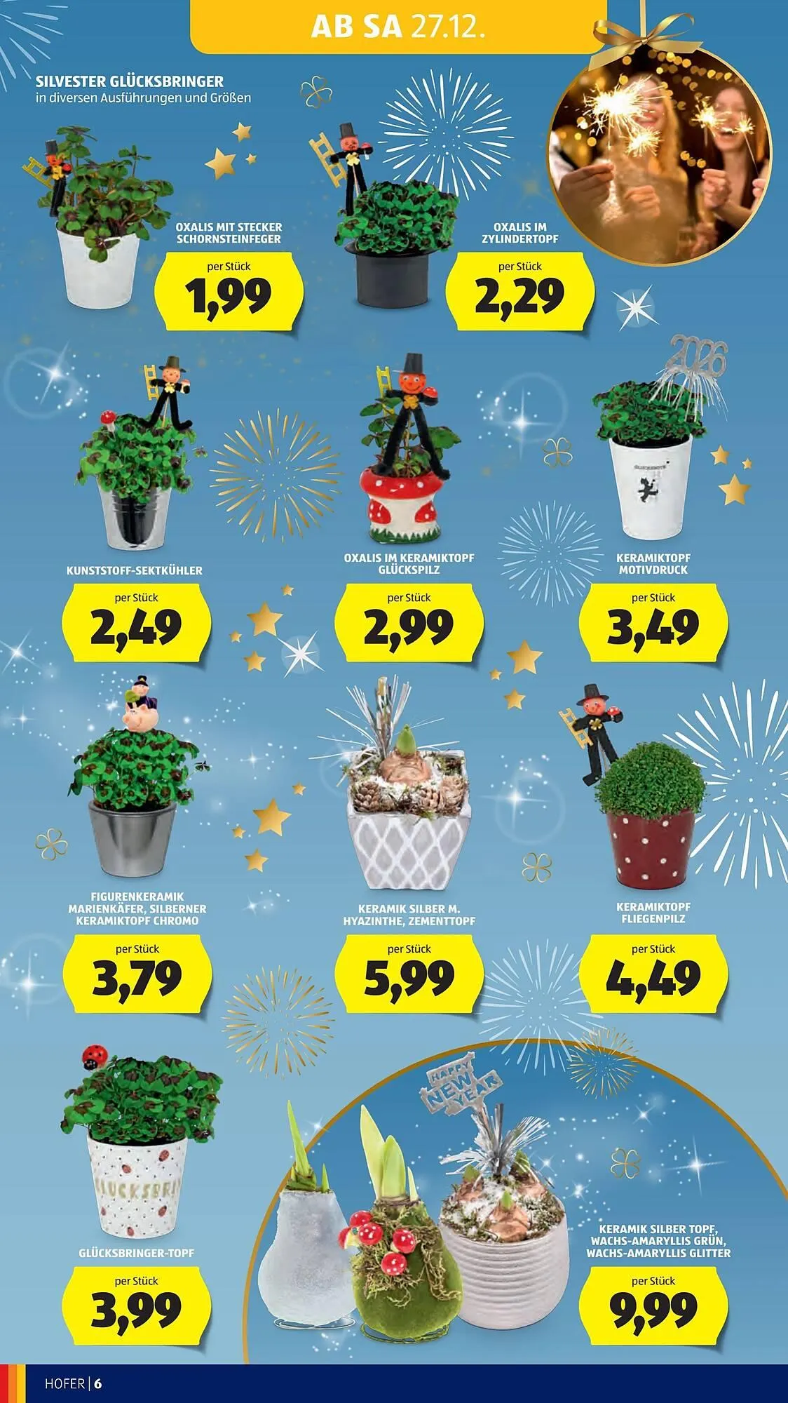 Hofer Flugblatt von 22. Dezember bis 31. Dezember 2025 - Flugblätt seite  8