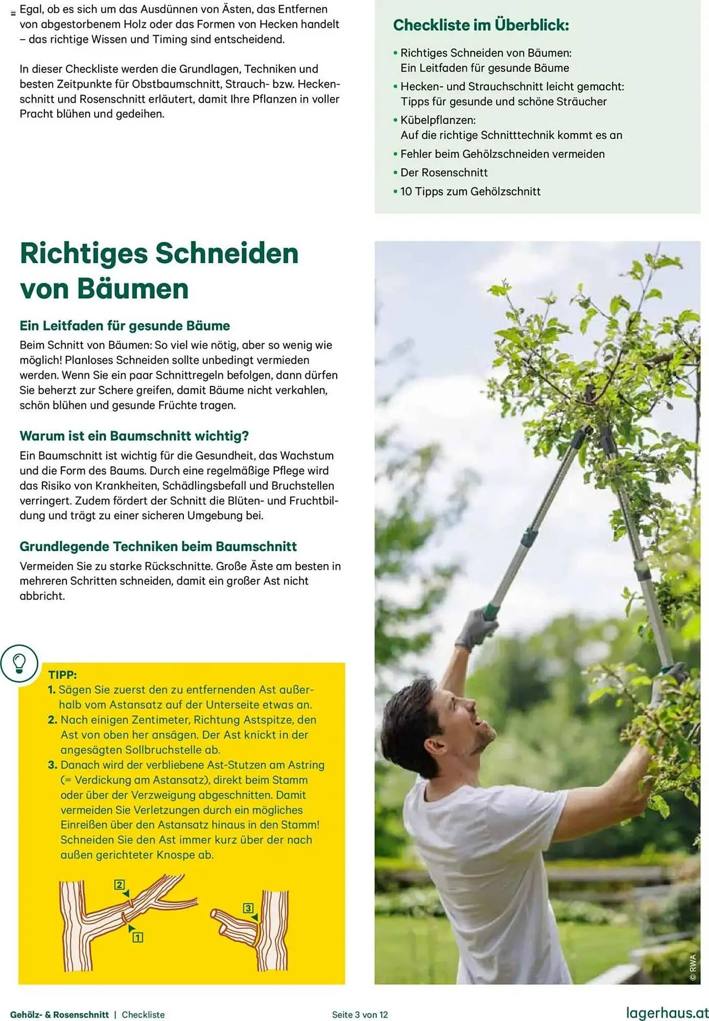 Lagerhaus Flugblatt von 20. Oktober bis 31. Dezember 2025 - Flugblätt seite  3