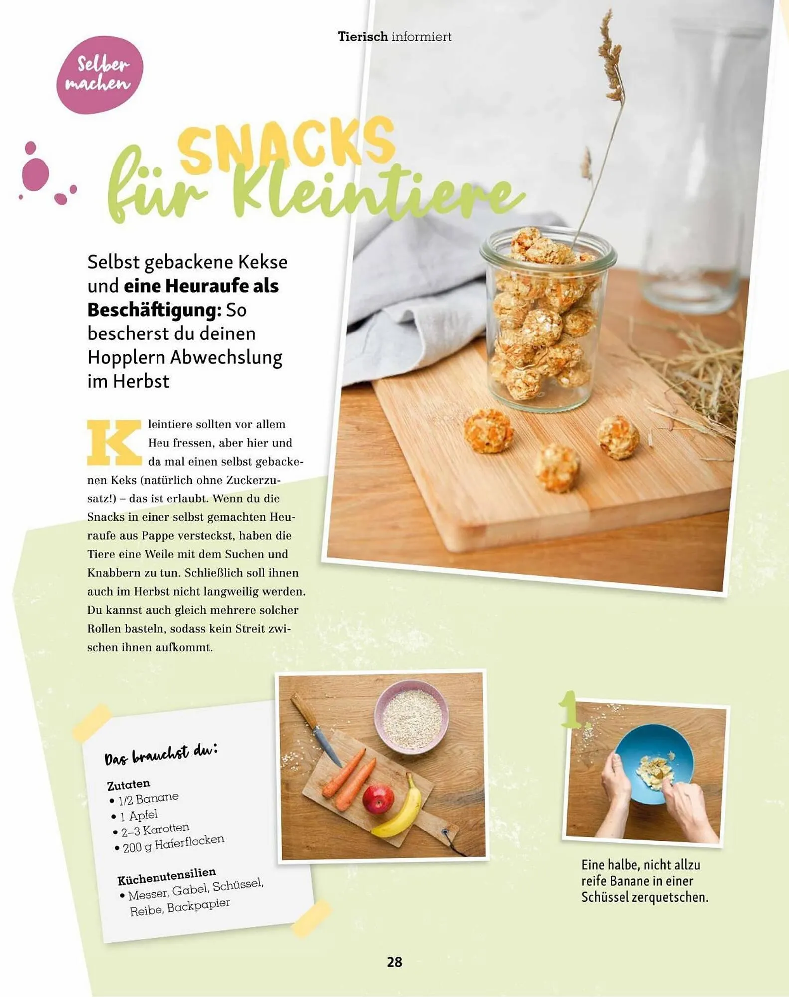 Fressnapf Flugblatt von 30. August bis 31. Oktober 2023 - Flugblätt seite 28