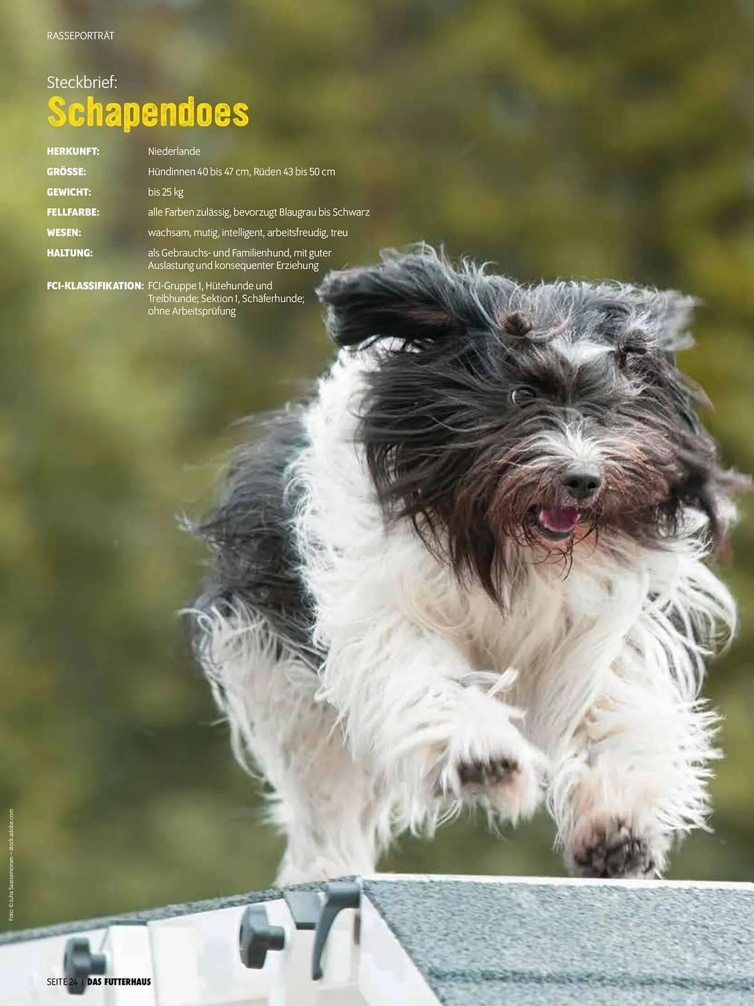 Das Futterhaus Flugblatt von 31. Mai bis 23. Juni 2024 - Flugblätt seite  24