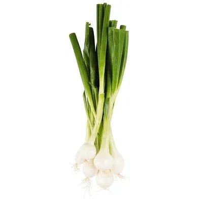 Da komm ich her! Jungzwiebel