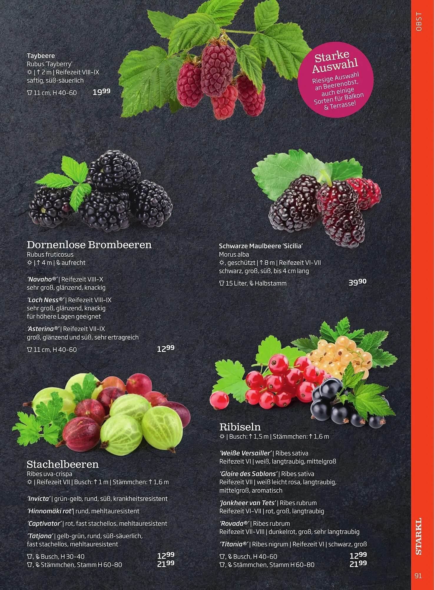 Starkl Flugblatt von 1. Jänner bis 31. Dezember 2023 - Flugblätt seite 91
