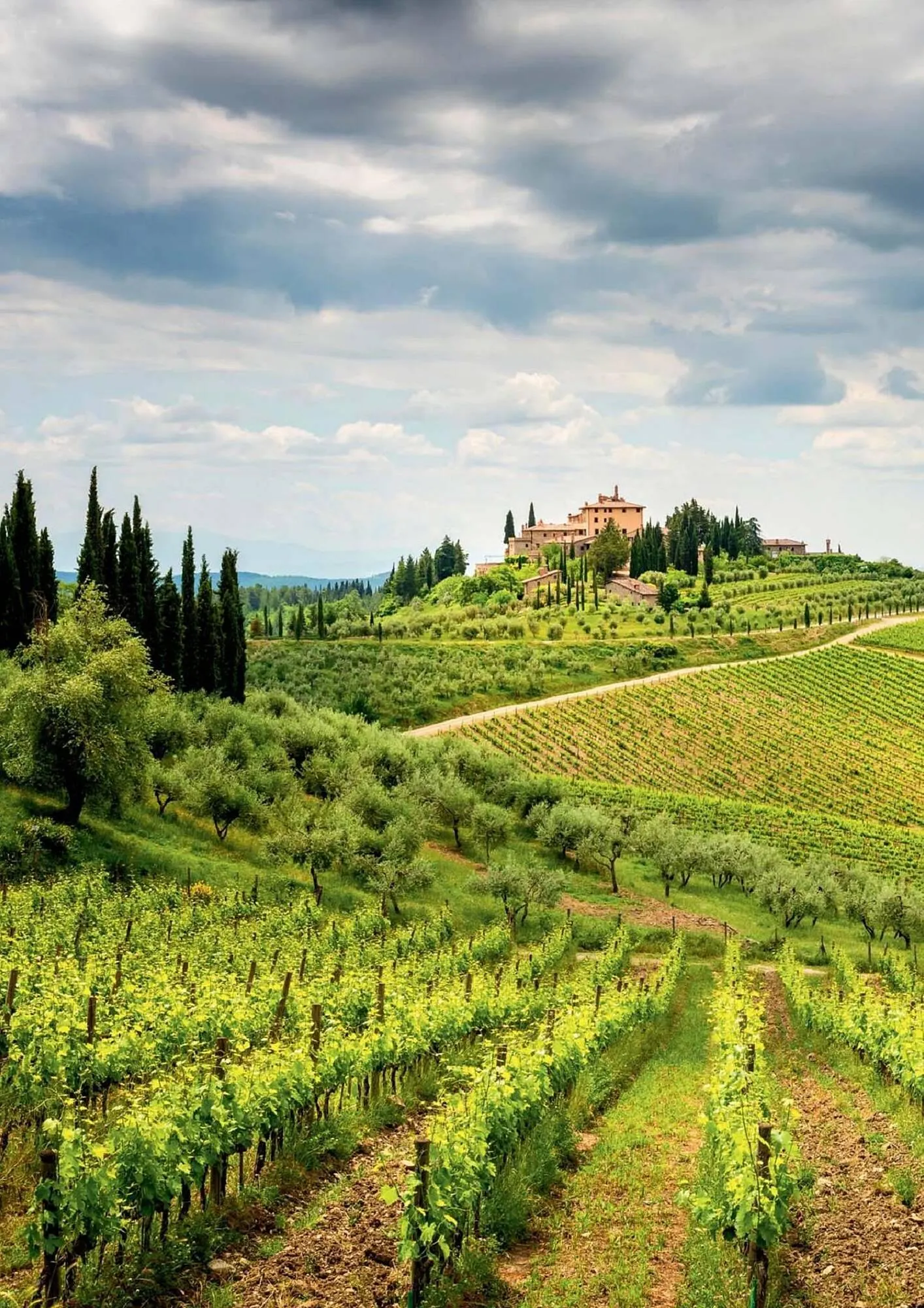 Kastner Flugblatt von 17. Juni bis 31. Dezember 2026 - Flugblätt seite  134