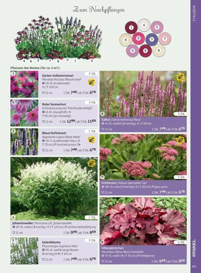 Gartencenter Jahreskatalog 2024 von 20. Mai bis 31. Dezember 2024 - Flugblätt seite  43