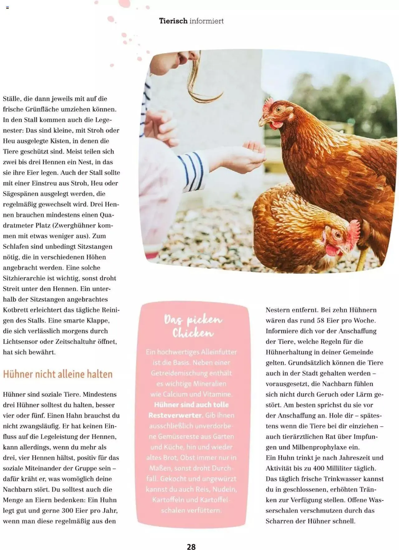 Fressnapf Friends 02/2023 von 1. März bis 31. Dezember 2023 - Flugblätt seite  28