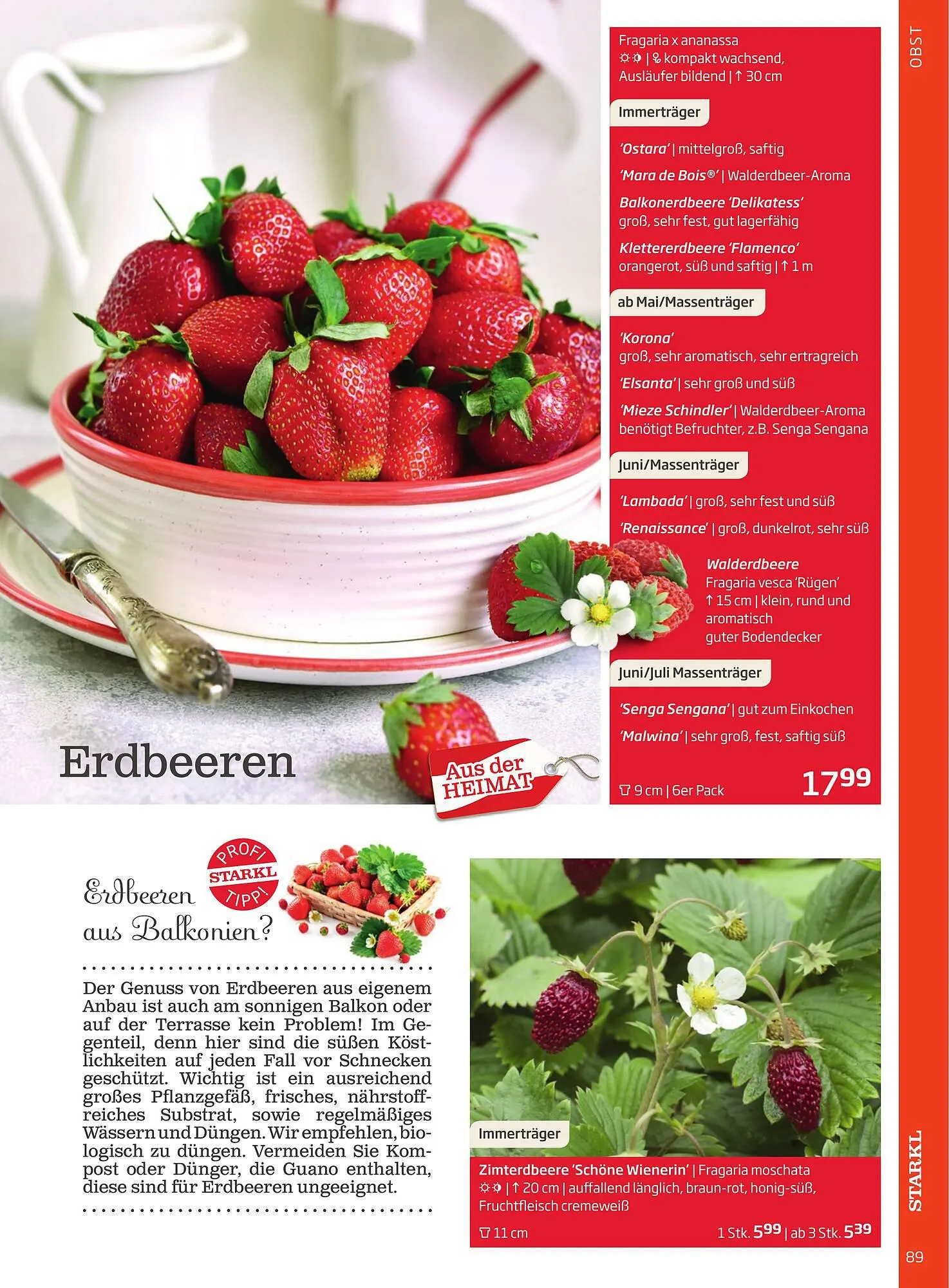 Starkl Flugblatt von 1. April bis 31. Dezember 2024 - Flugblätt seite 89