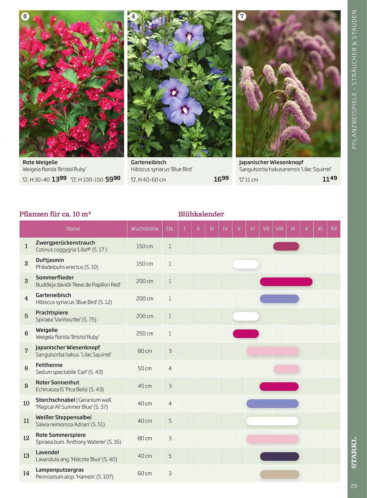 Starkl Flugblatt von 1. April bis 31. Dezember 2024 - Flugblätt seite  29
