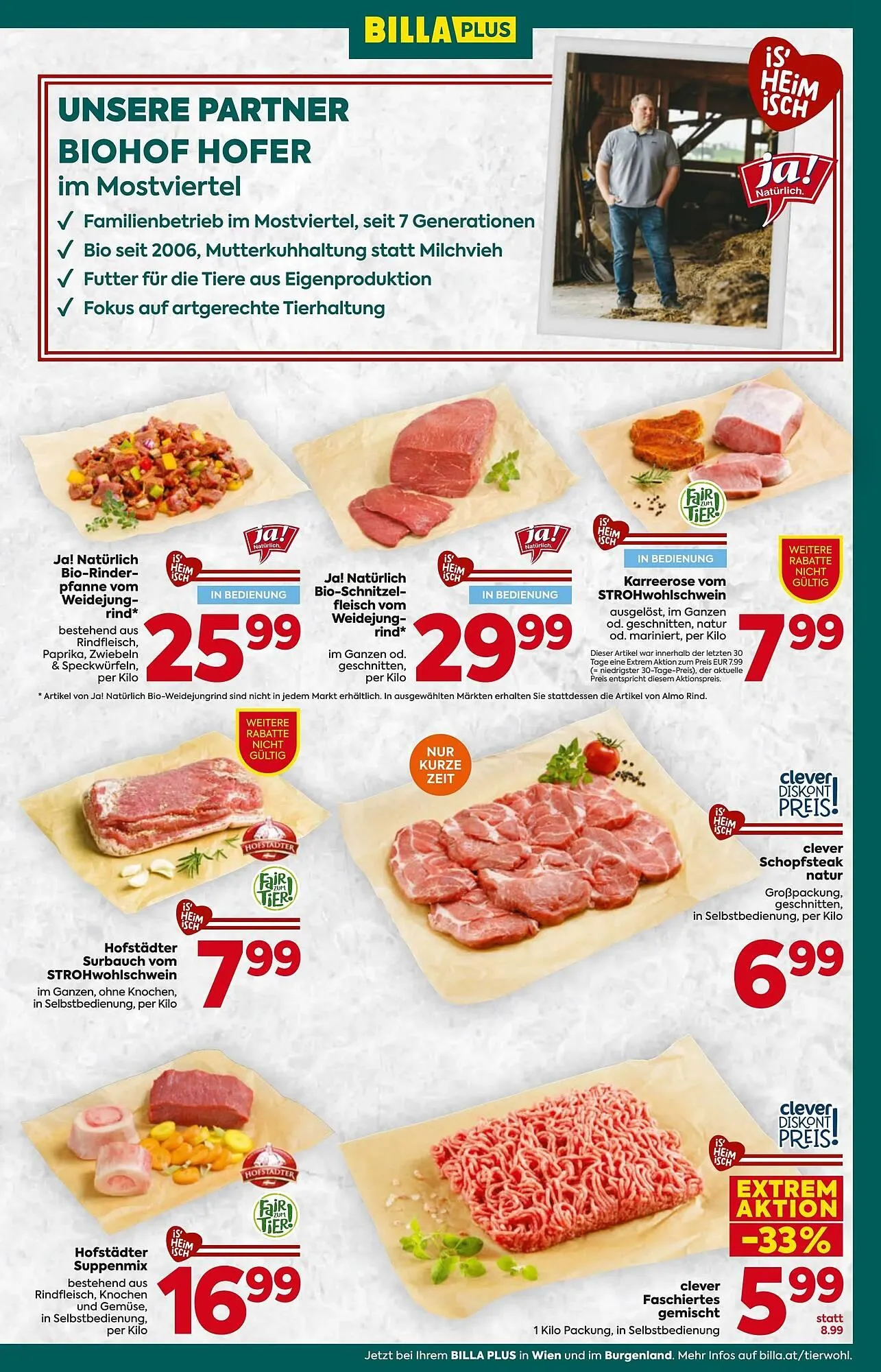 Billa Flugblatt von 22. Jänner bis 28. Jänner 2026 - Flugblätt seite  11