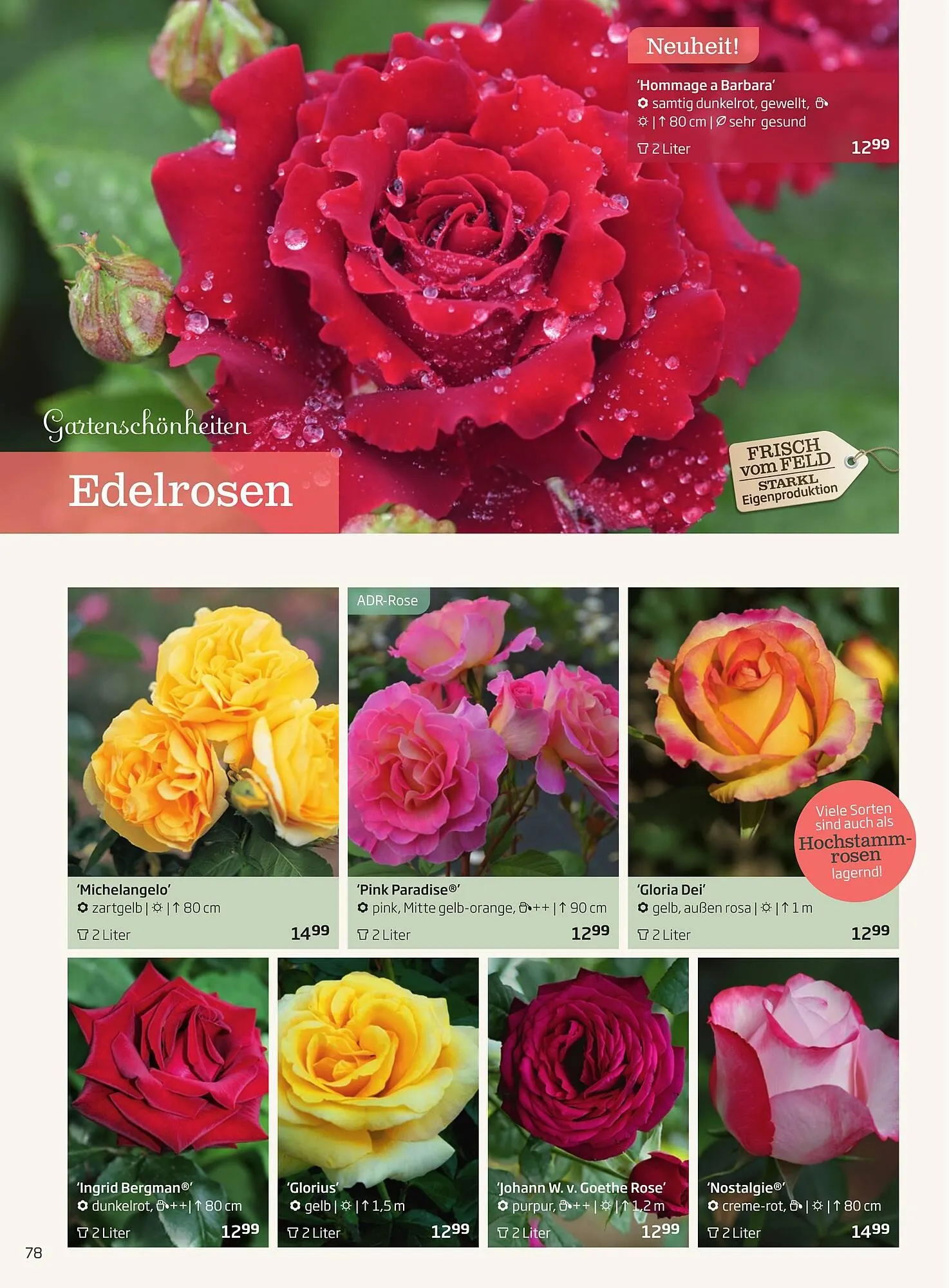 Starkl Flugblatt von 6. Juni bis 31. Dezember 2025 - Flugblätt seite  78