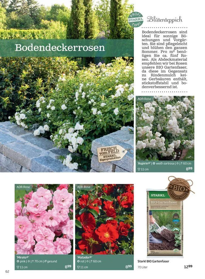 Gartencenter Jahreskatalog 2024 von 20. Mai bis 31. Dezember 2024 - Flugblätt seite 62