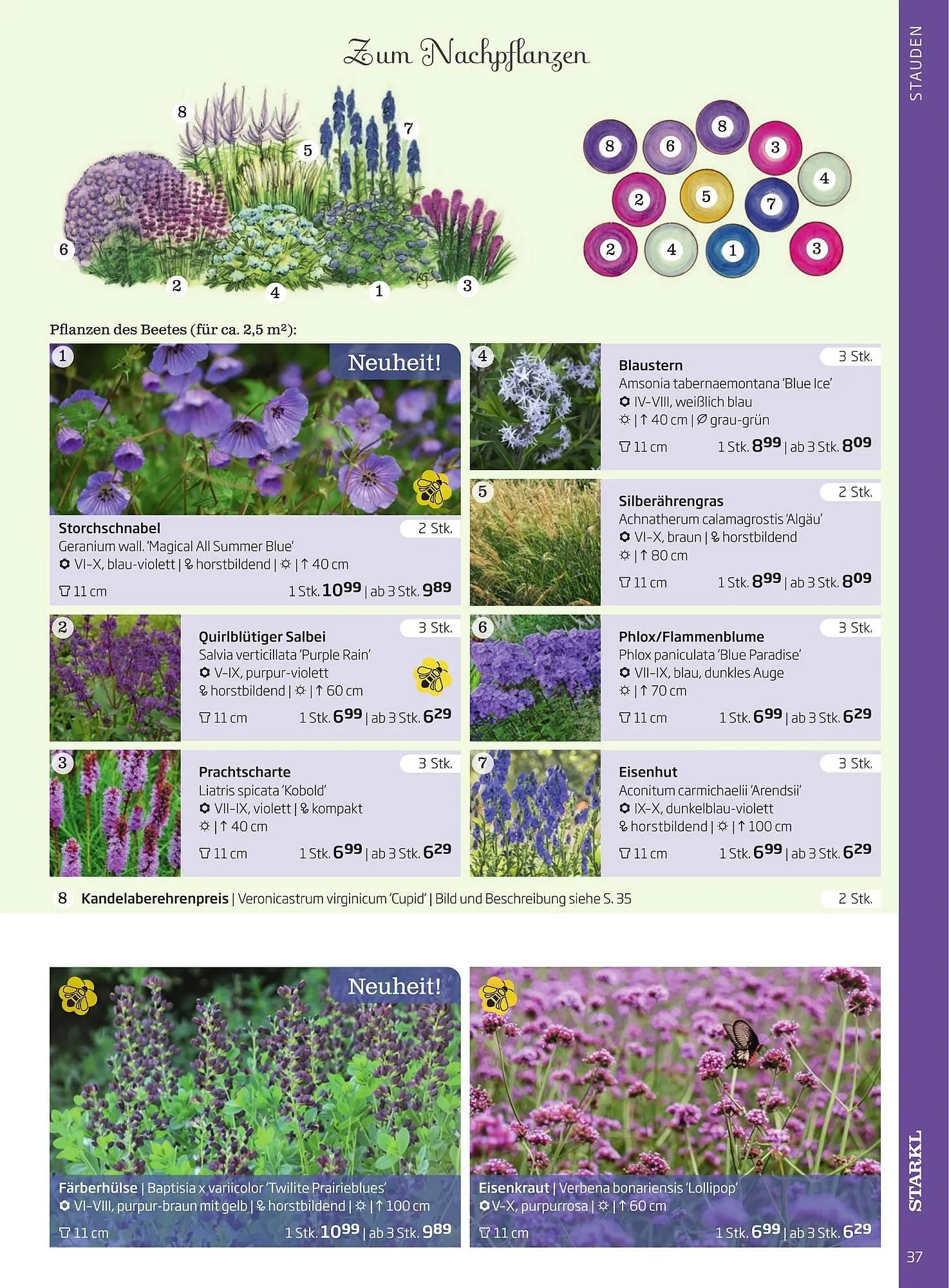 Starkl Flugblatt von 1. Jänner bis 31. Dezember 2023 - Flugblätt seite  37