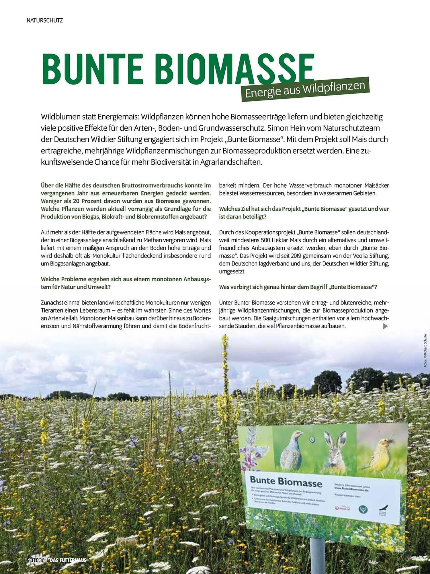 Das Futterhaus Flugblatt von 1. August bis 3. Oktober 2024 - Flugblätt seite 36