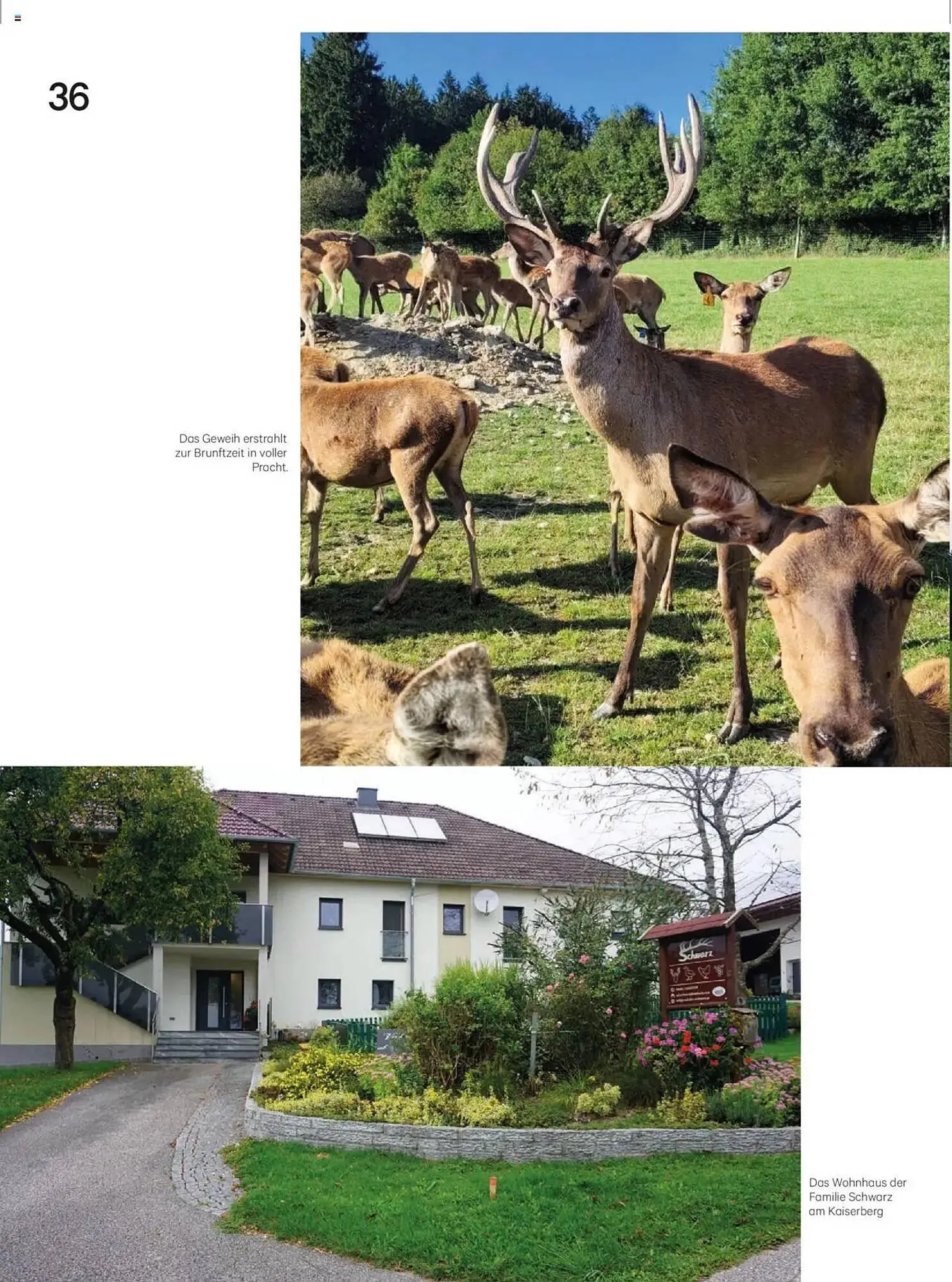 Lagerhaus Flugblatt von 1. November bis 30. November 2025 - Flugblätt seite  36