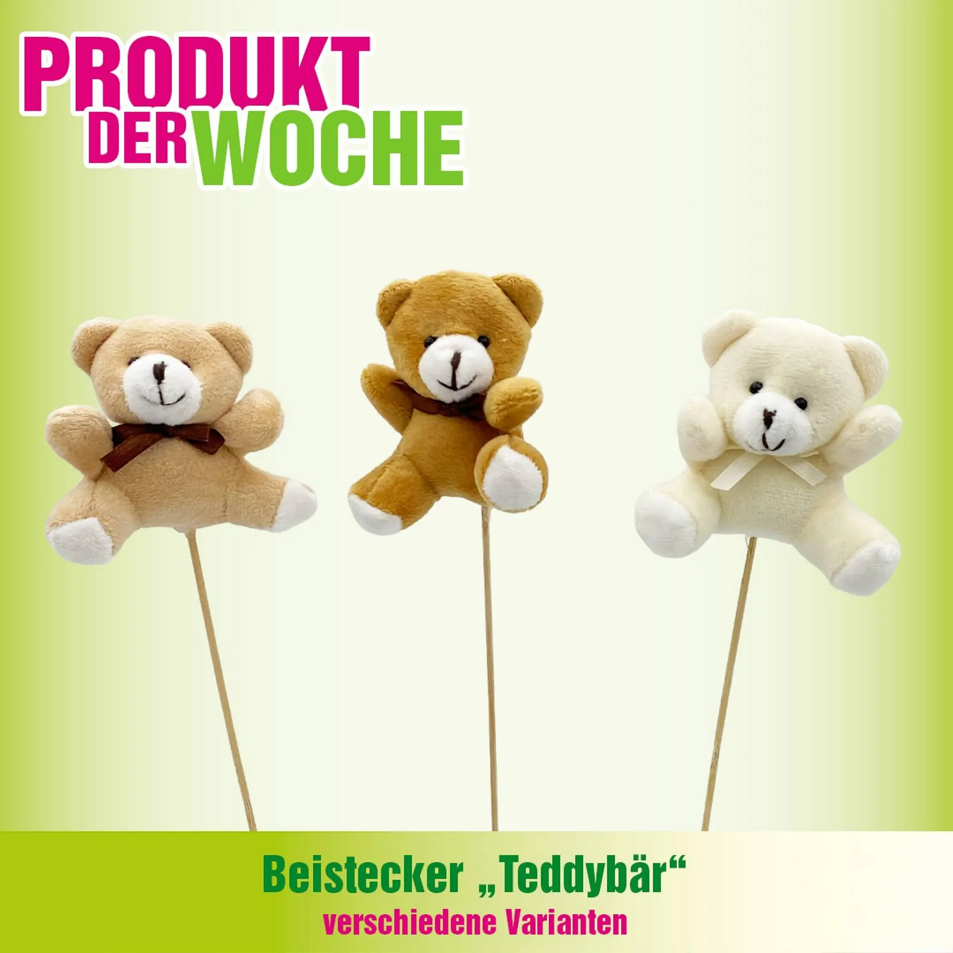 Blumen B&B Flugblatt von 27. Jänner bis 2. Februar 2026 - Flugblätt seite  3