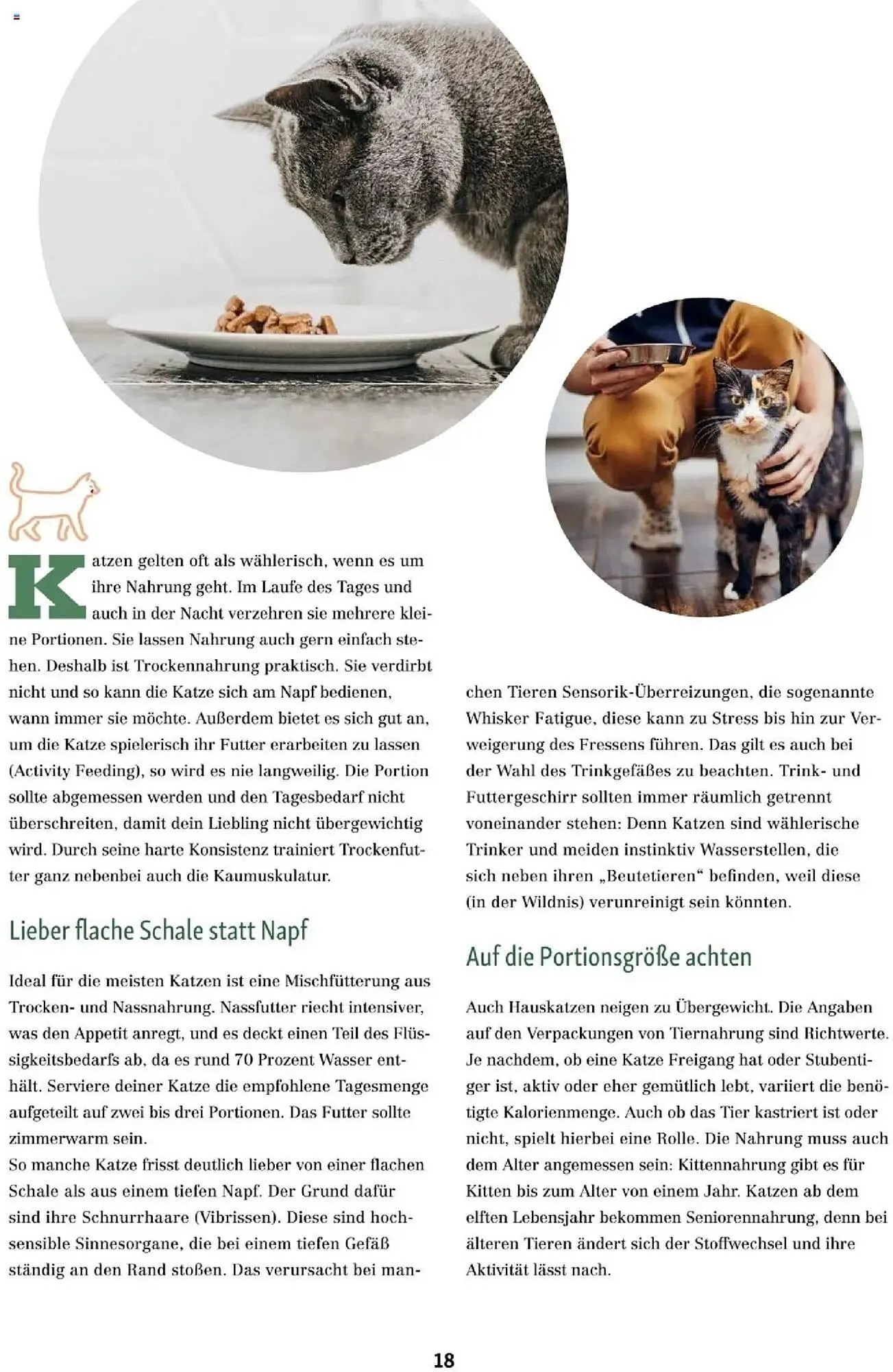Fressnapf Flugblatt von 1. September bis 31. Oktober 2025 - Flugblätt seite  18