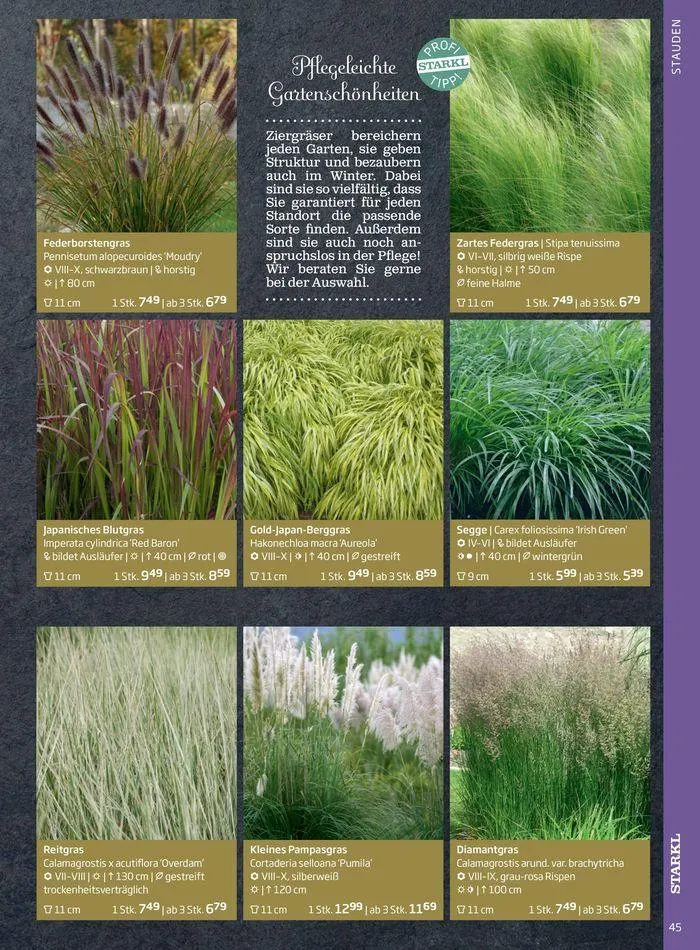 Gartencenter Jahreskatalog 2024 von 20. Mai bis 31. Dezember 2024 - Flugblätt seite  45