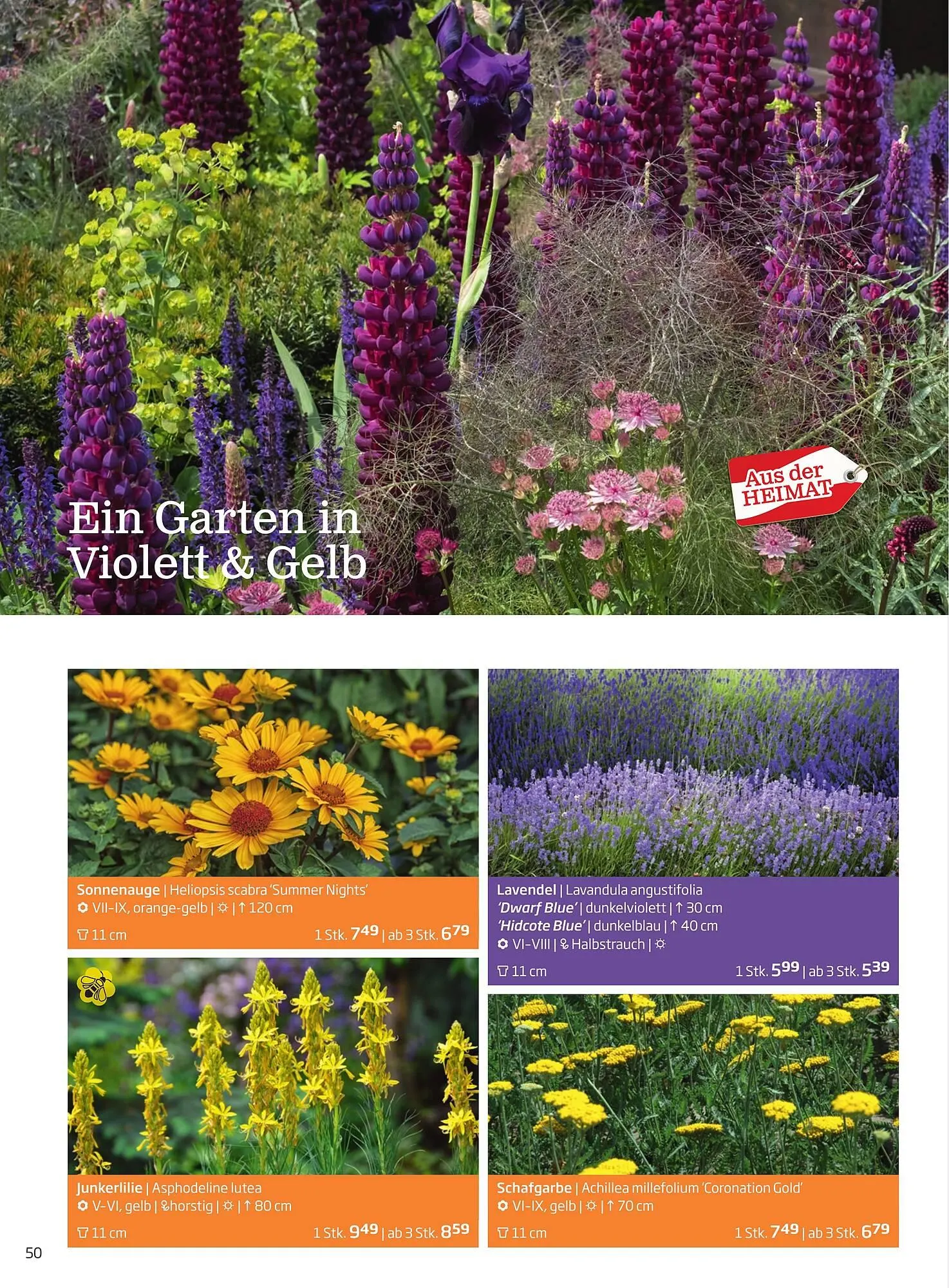 Starkl Flugblatt von 6. Juni bis 31. Dezember 2025 - Flugblätt seite  50