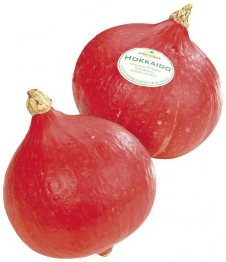 Hokkaidokürbis frisch Österreich