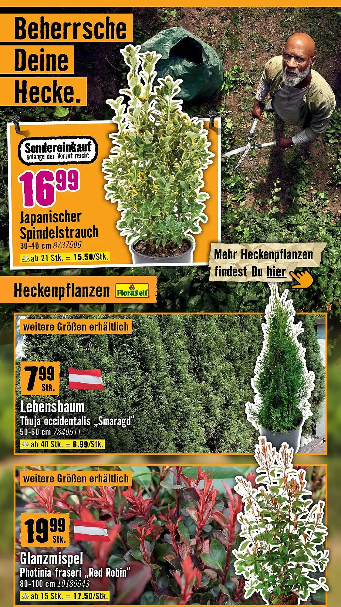 Hornbach Flugblatt von 18. März bis 16. April 2026 - Flugblätt seite 20