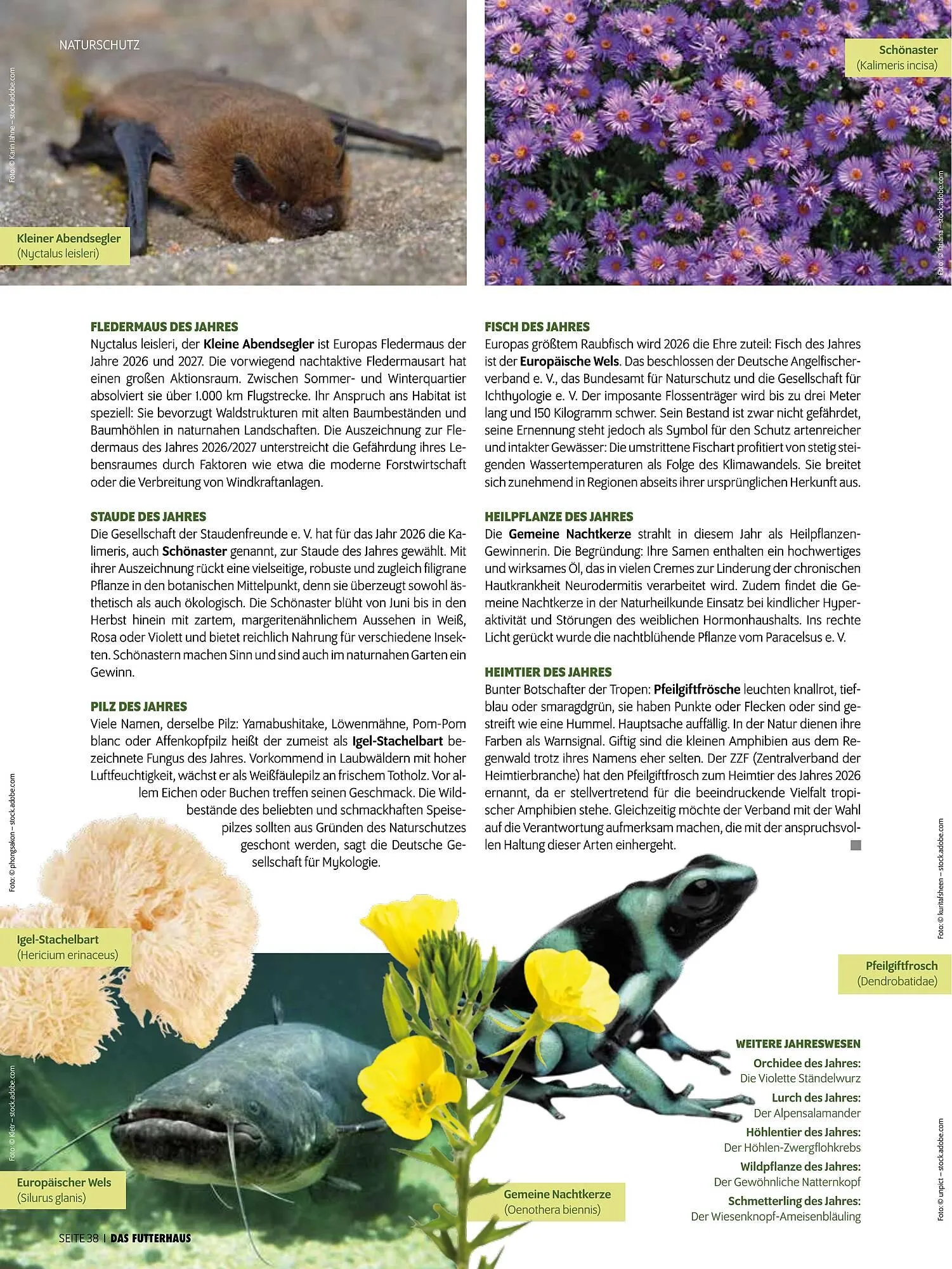 Das Futterhaus Prospekt von 16. Februar bis 8. März 2026 - Flugblätt seite  38
