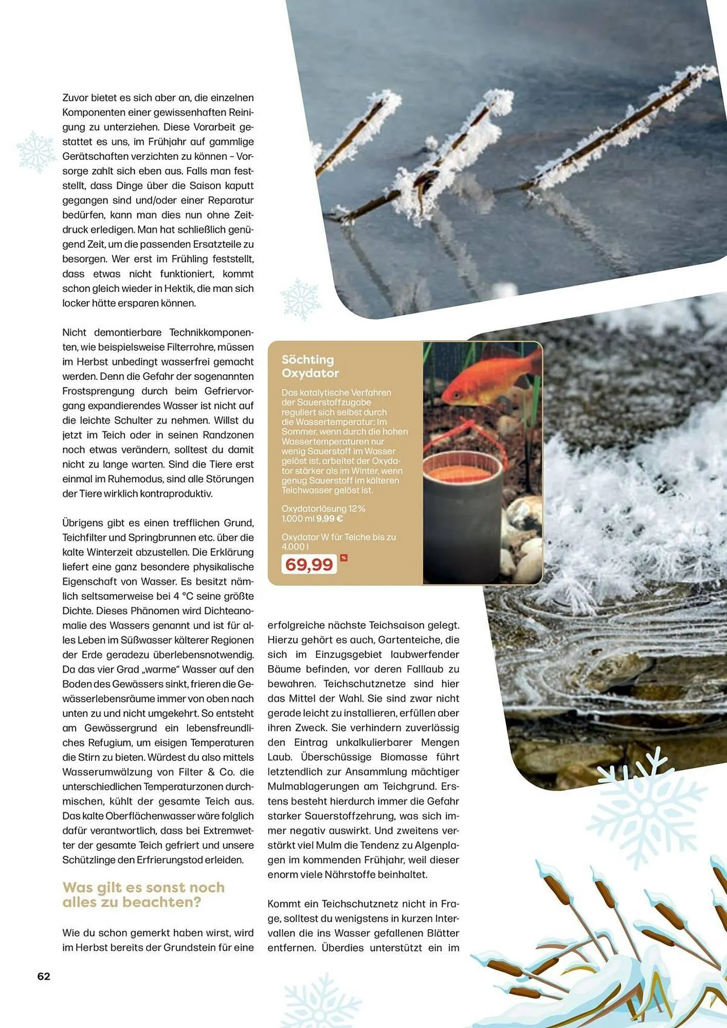 ZOO & Co Flugblatt von 30. August bis 8. November 2024 - Flugblätt seite 62